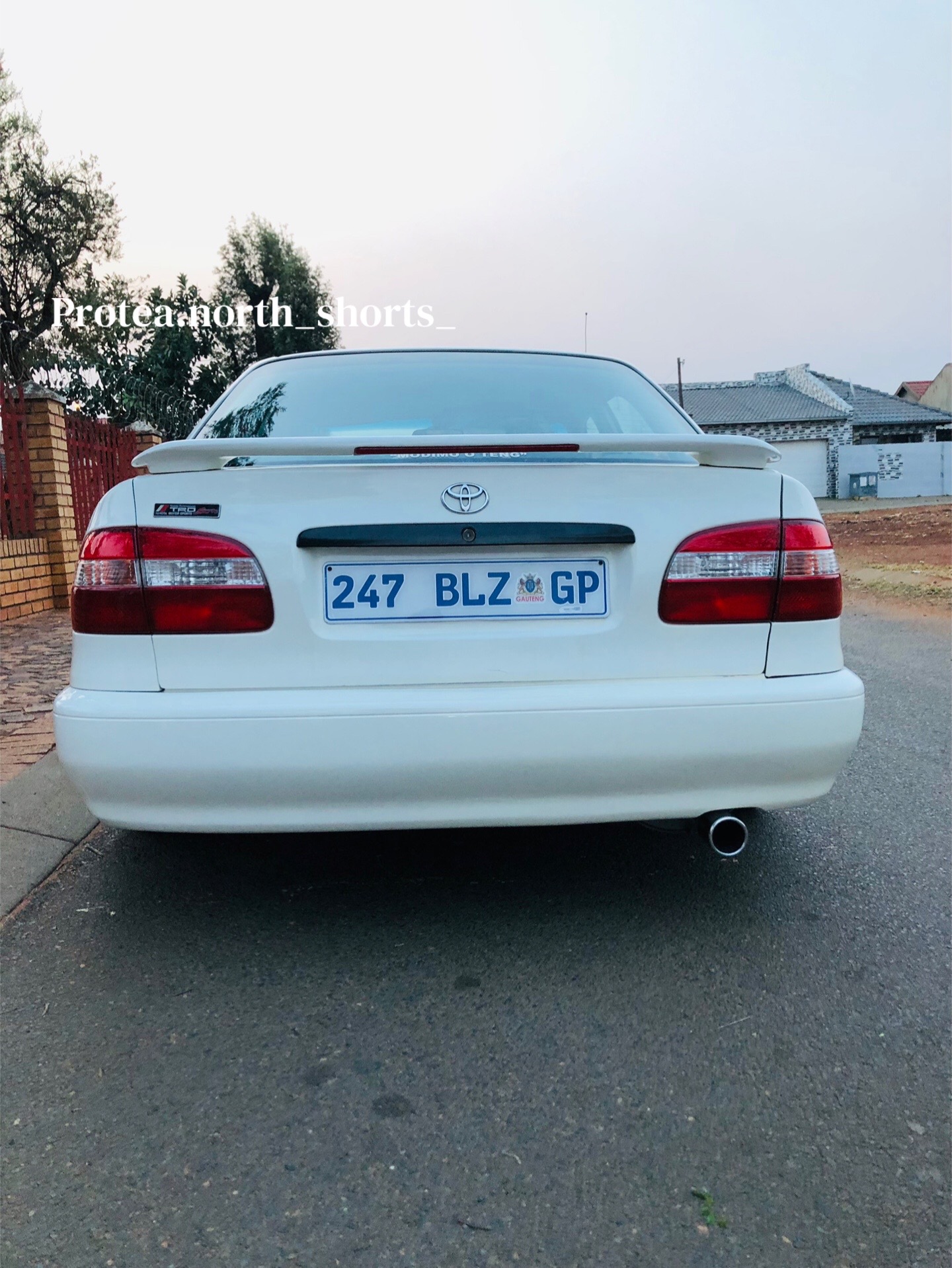 @Protea.north_shorts_