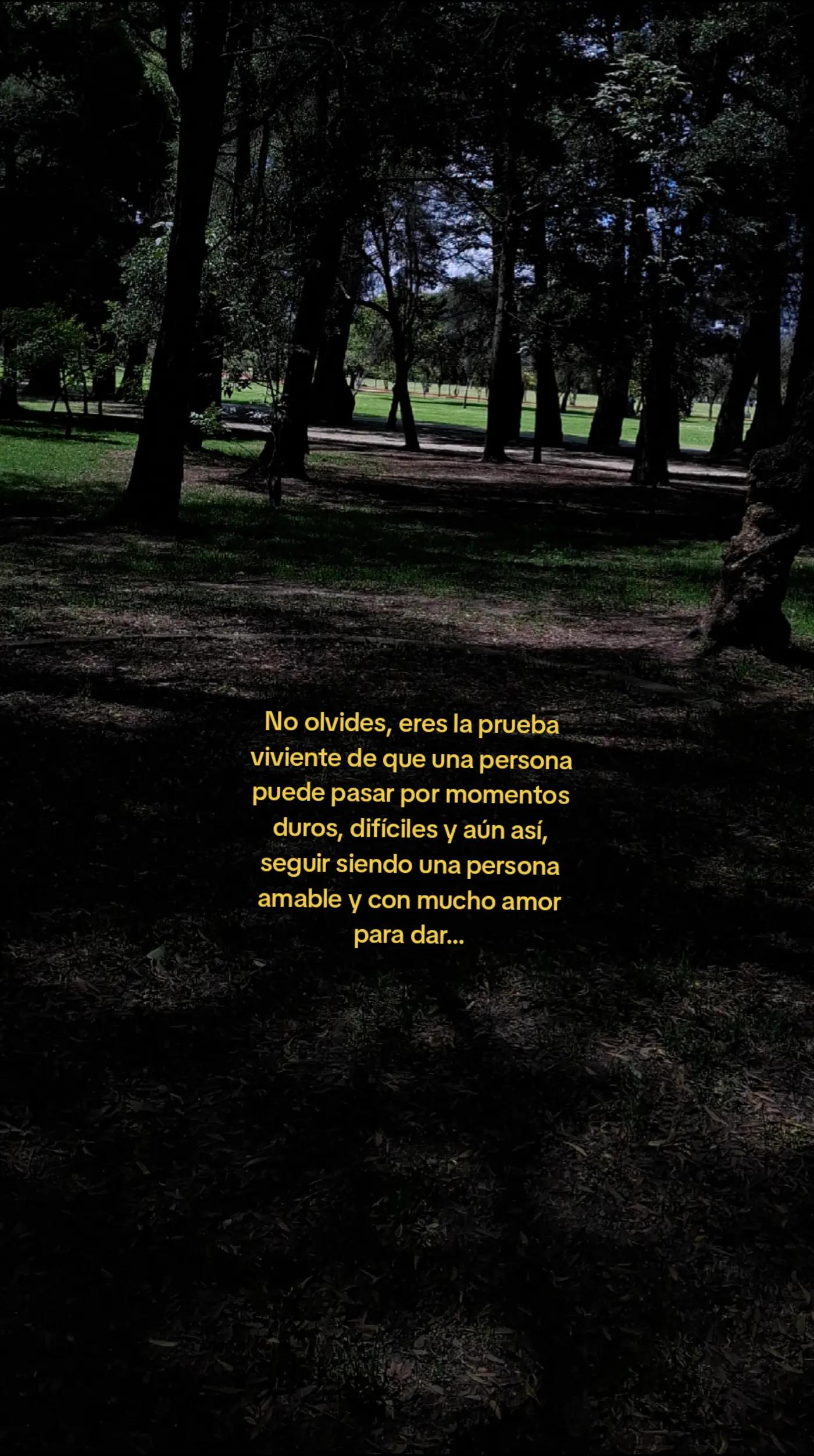 @𝐹𝑒𝑟𝑛𝑎𝑛𝑑𝑎 🌷