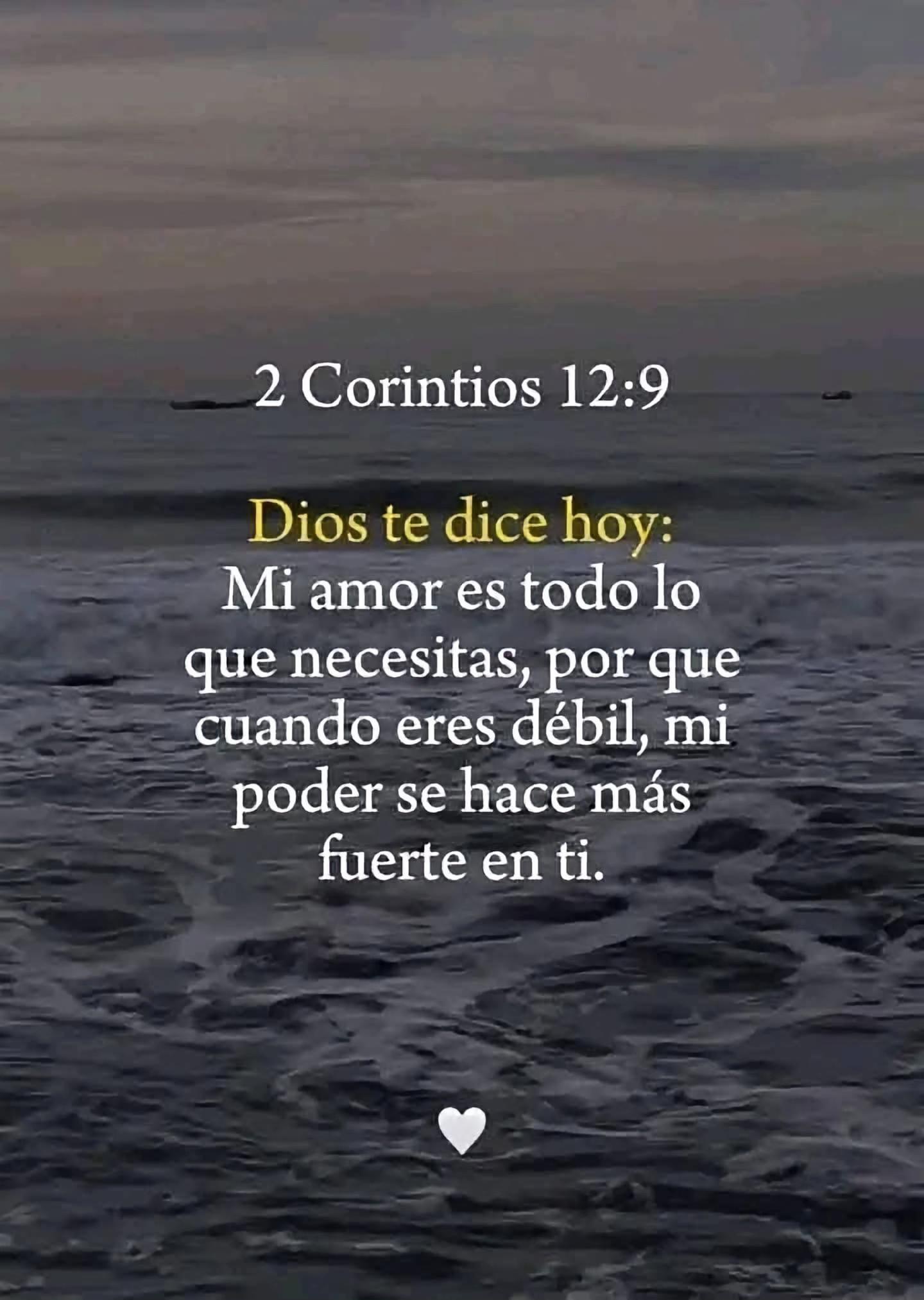@luzbelizario