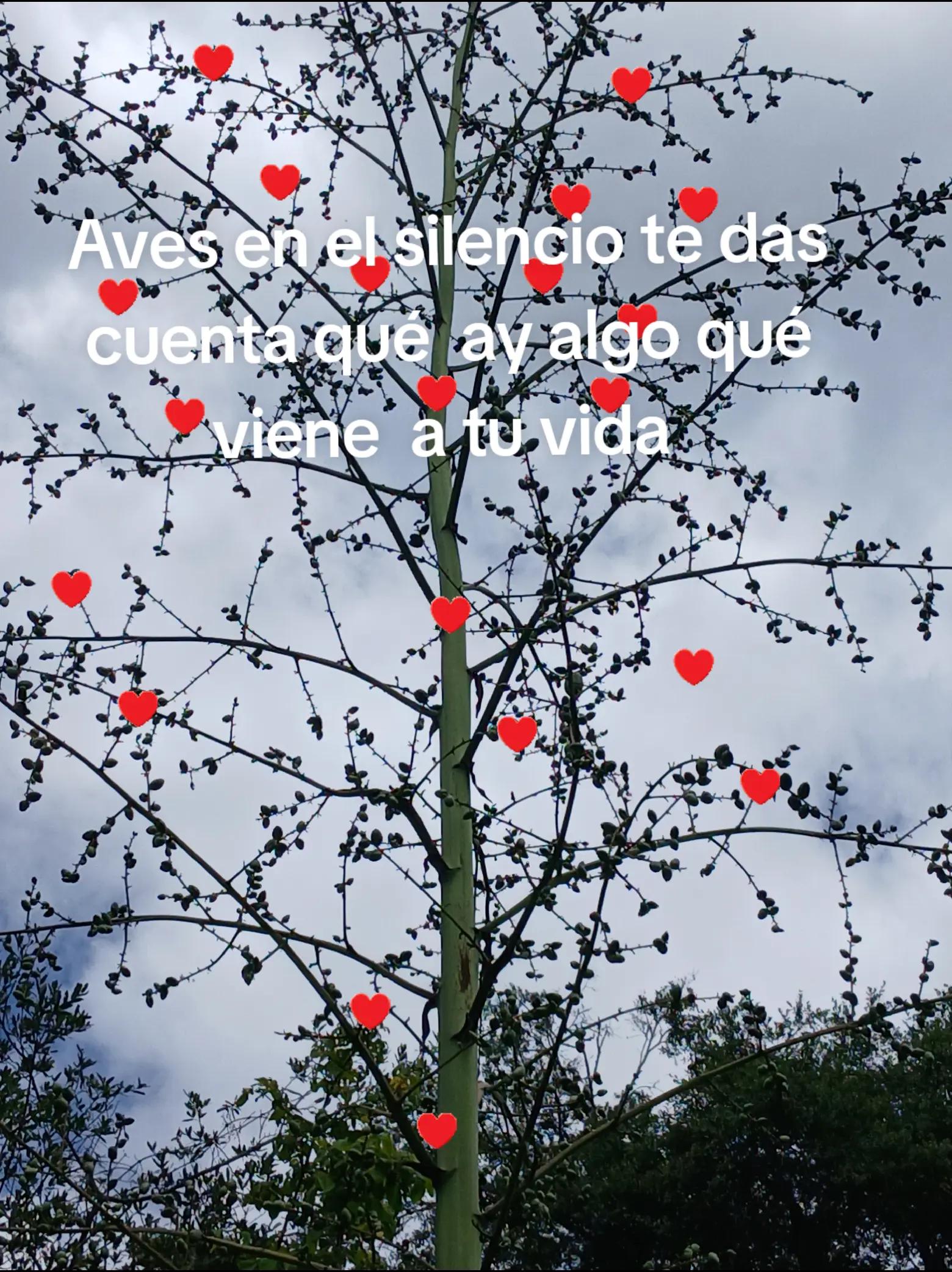 @Martina Porras