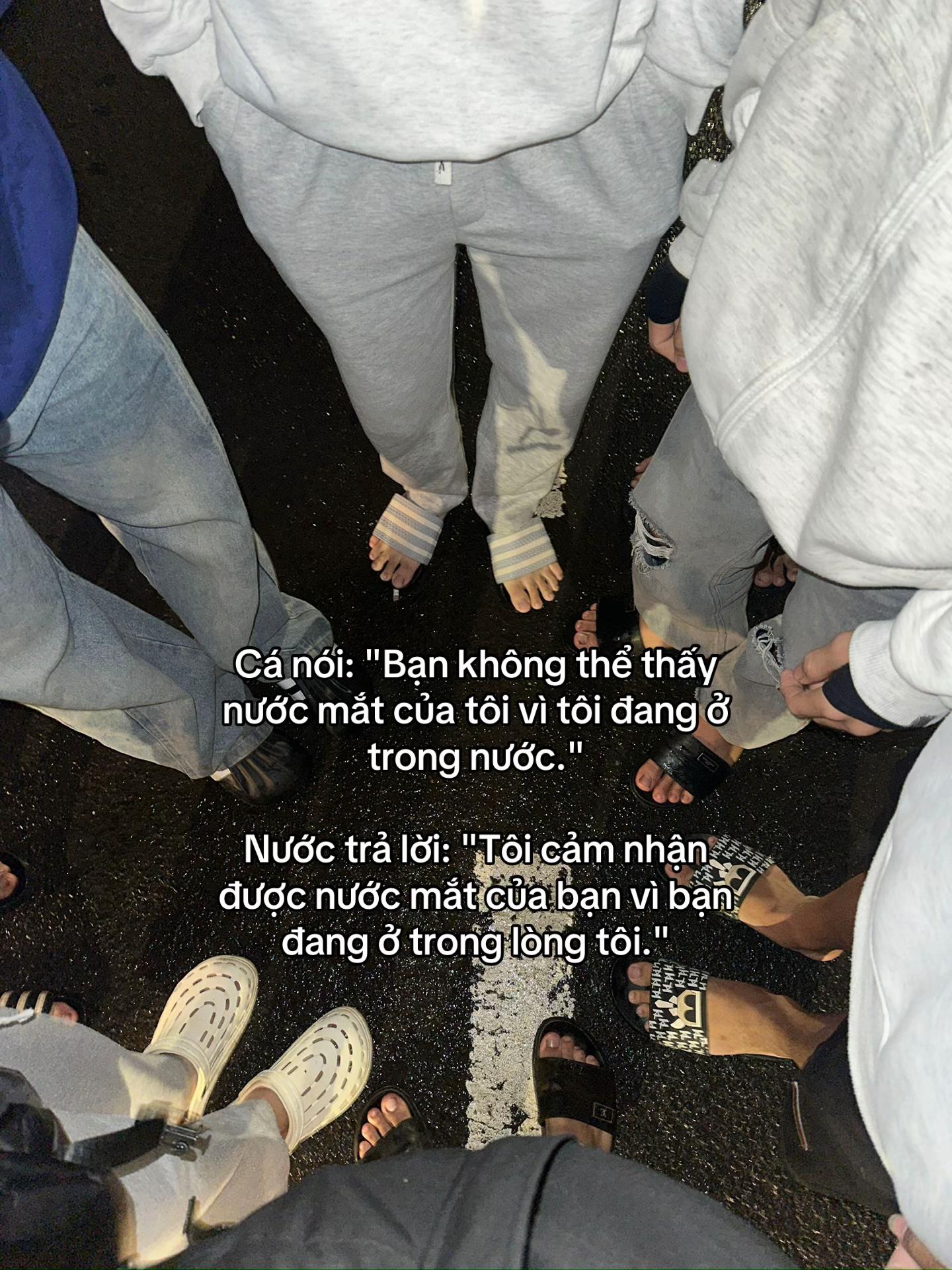 @haiz