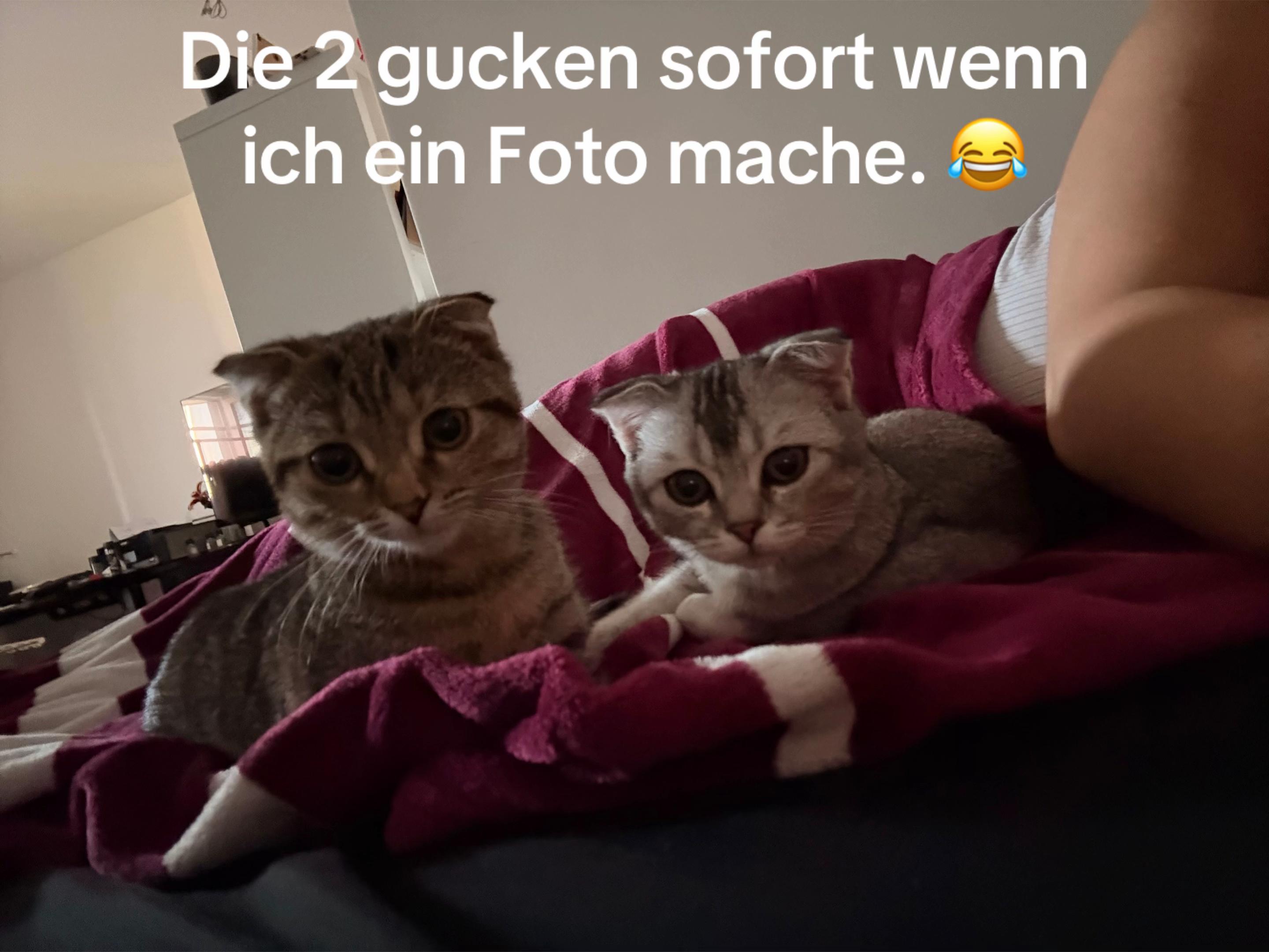 @Divaurteilt