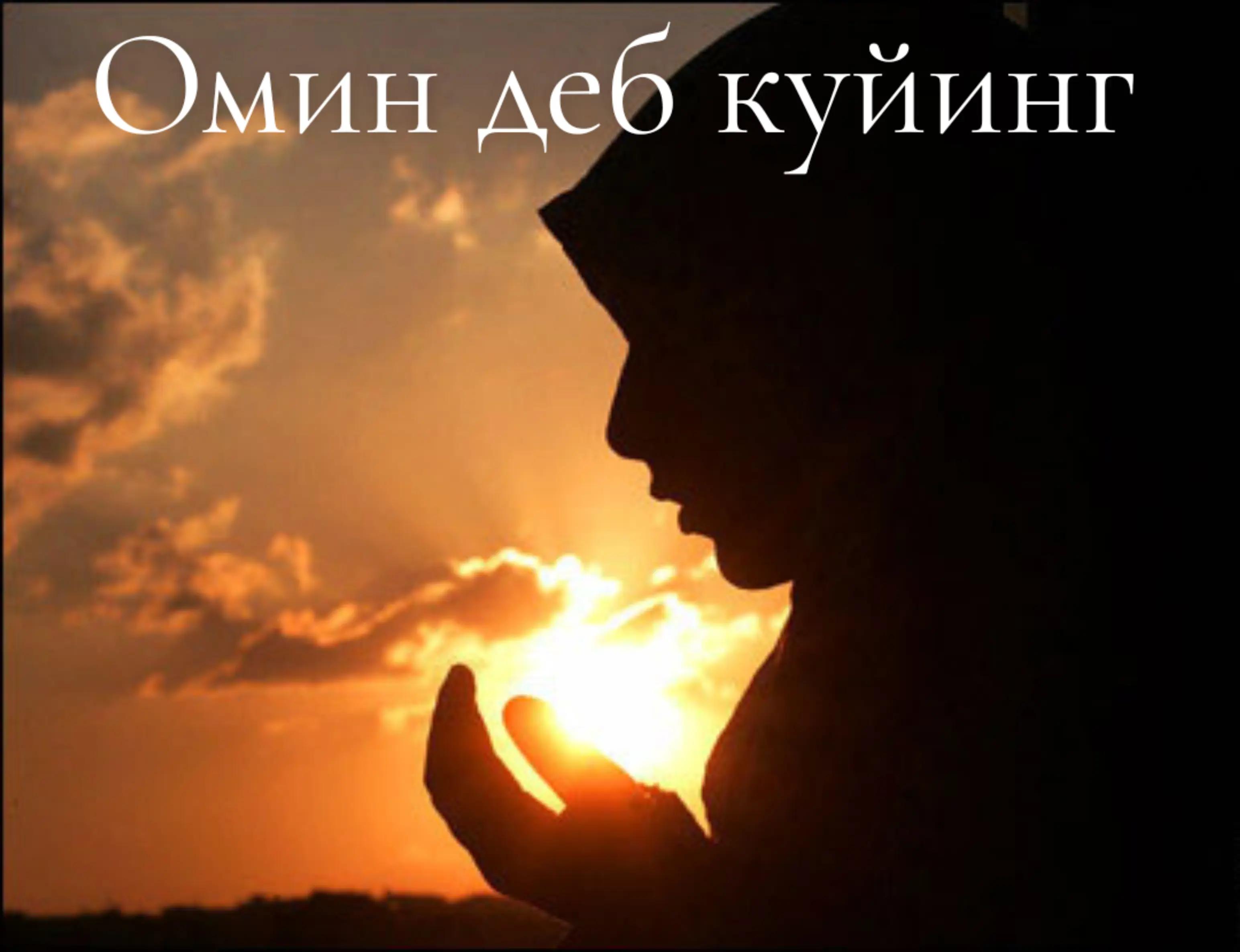 @Алишер