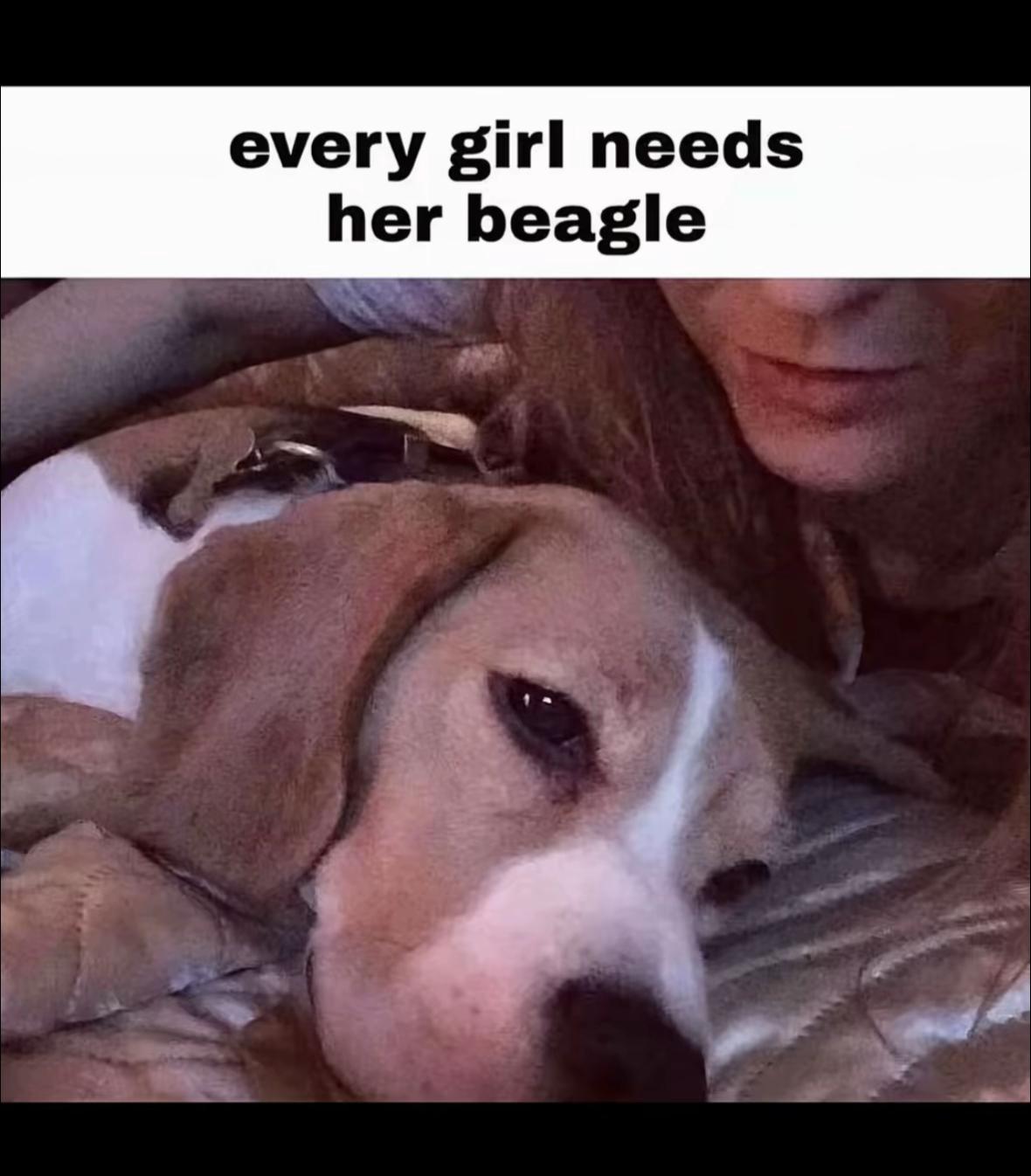 @kekka