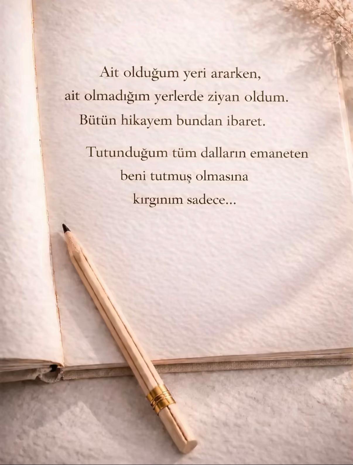 @🌻🇹🇷Reva🇩🇪🌻