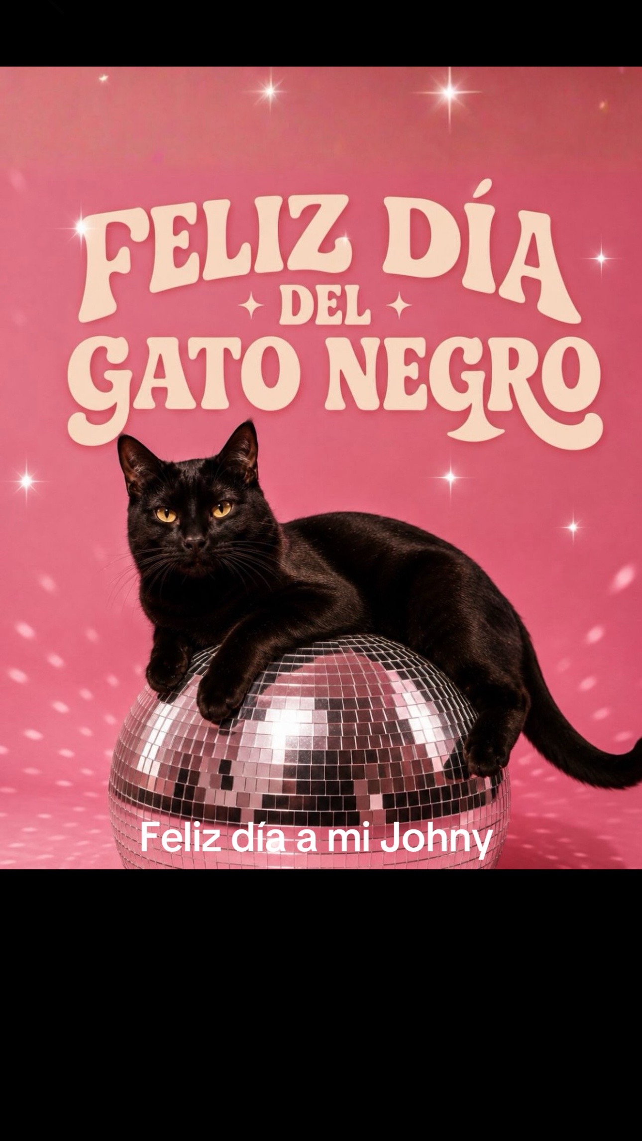 @Olgui59