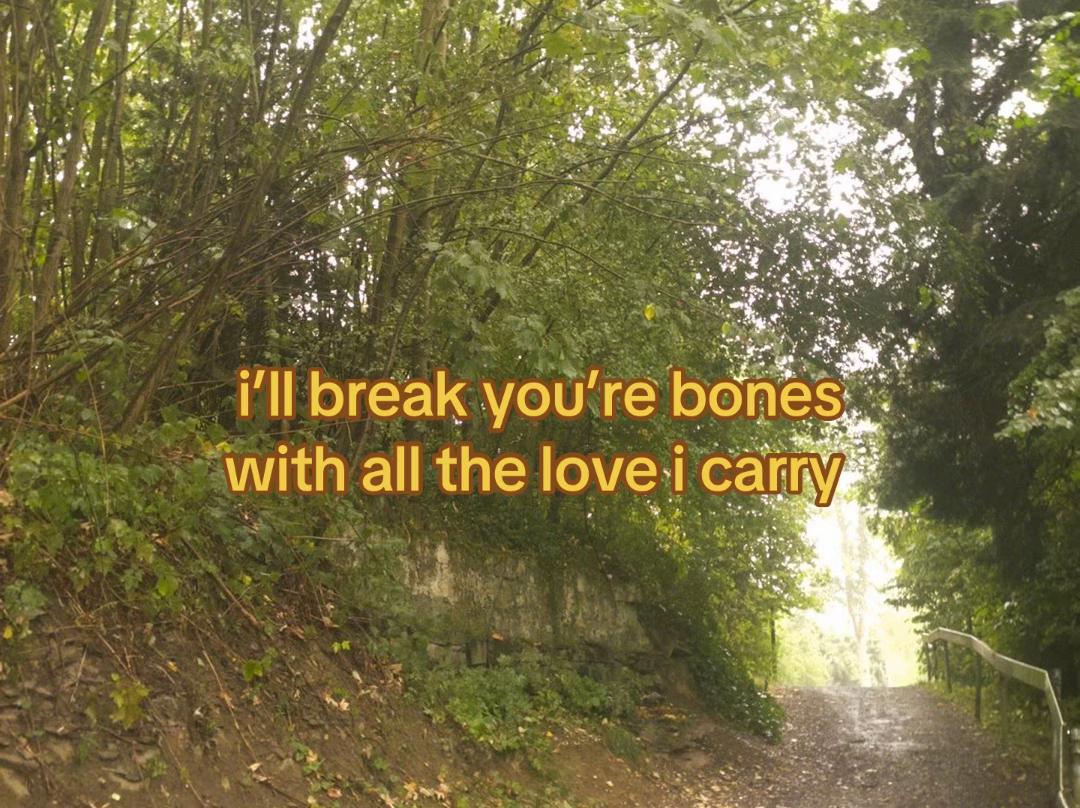 @🍂