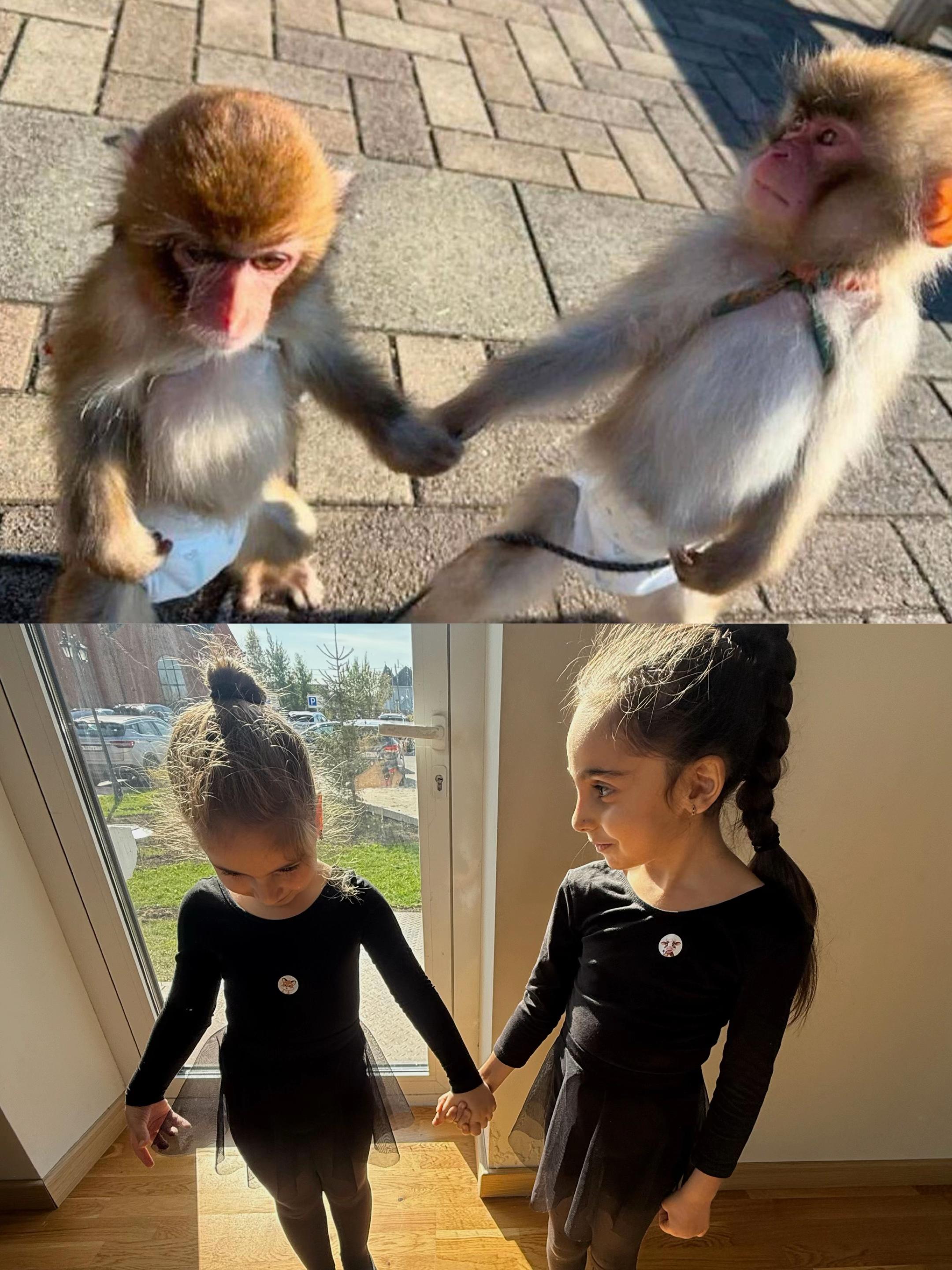 @nairi_dancegroup