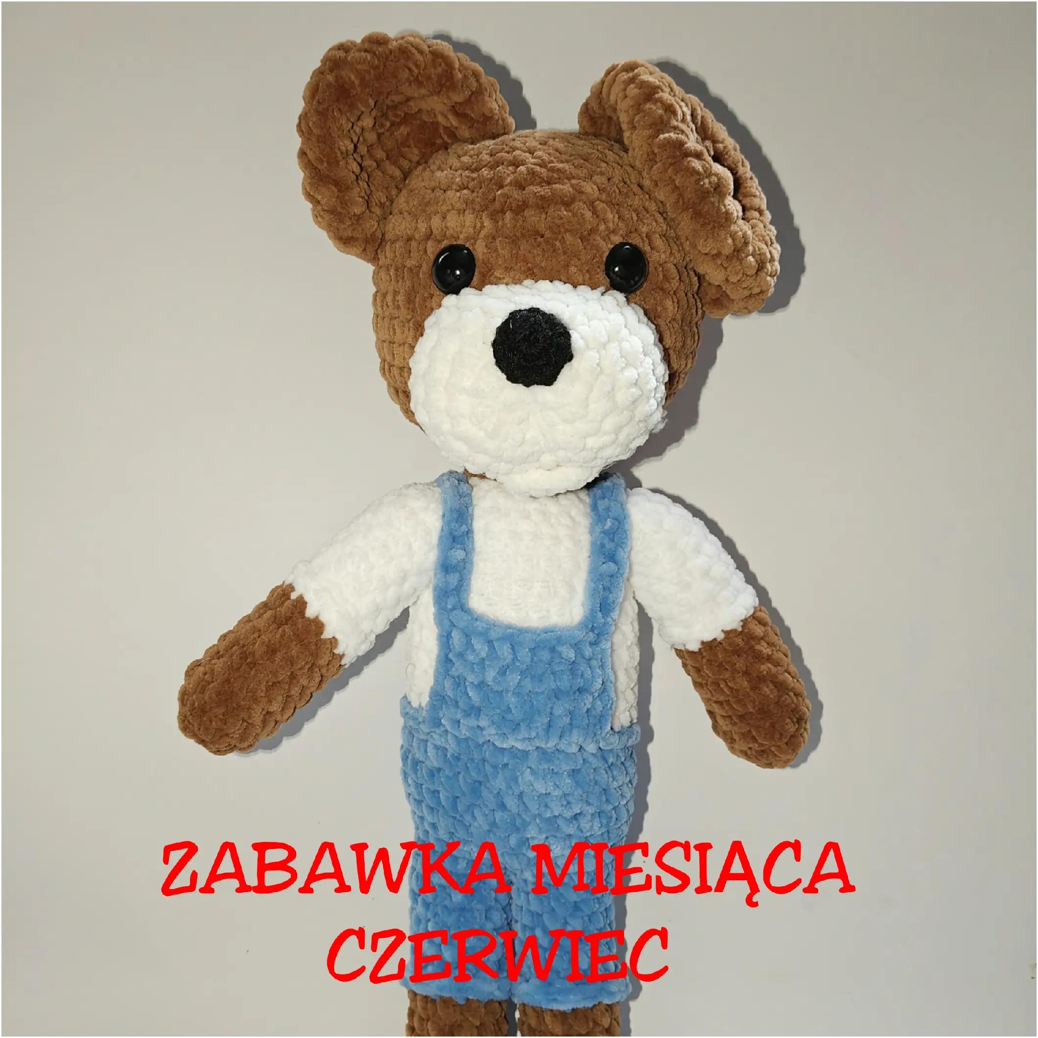 @Szydełkowe R&oacute;żności Sylwia