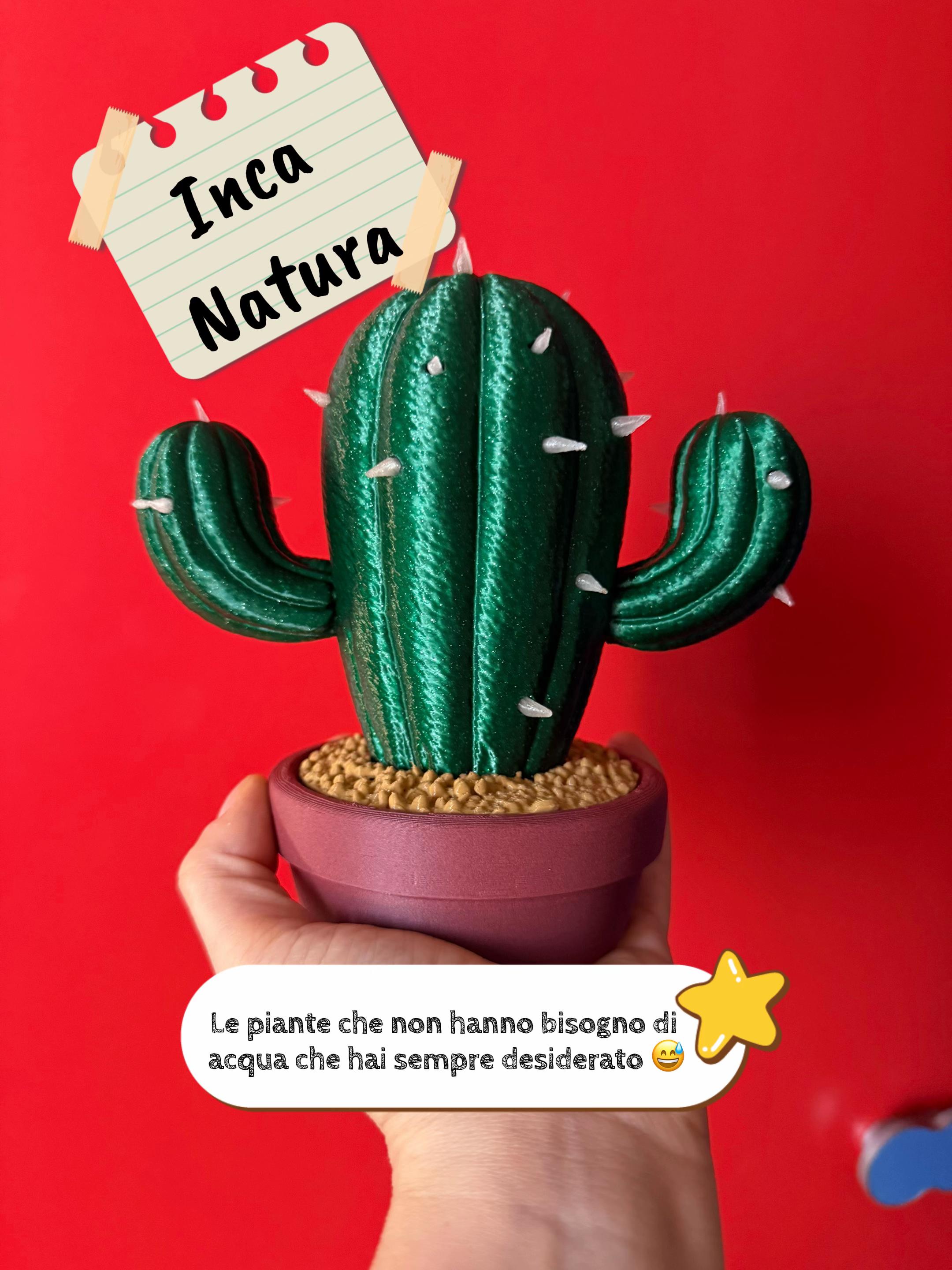 @3D Print & Paint M&C