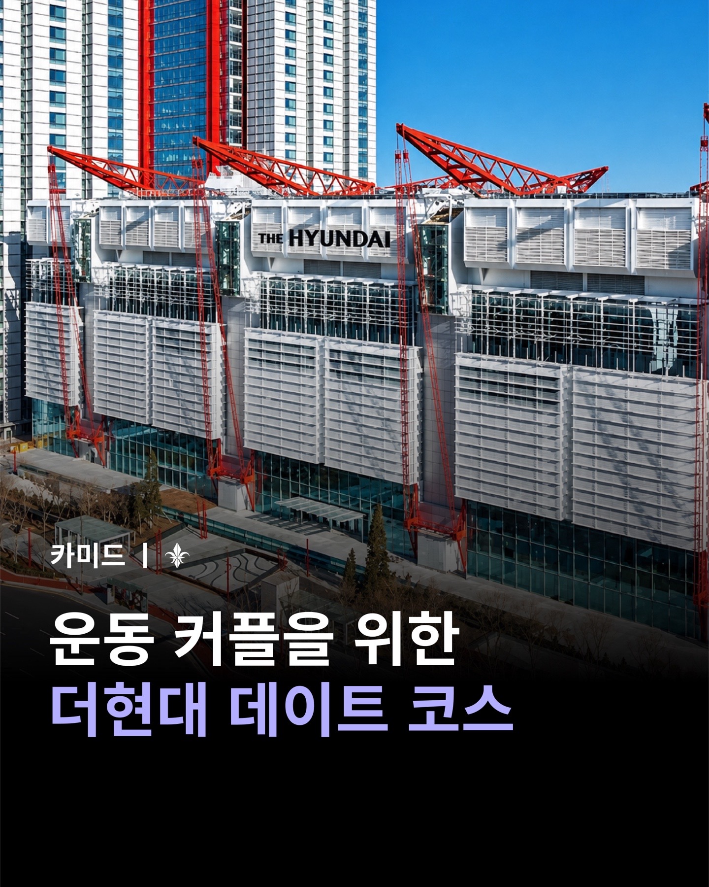 @카미드 CARMID