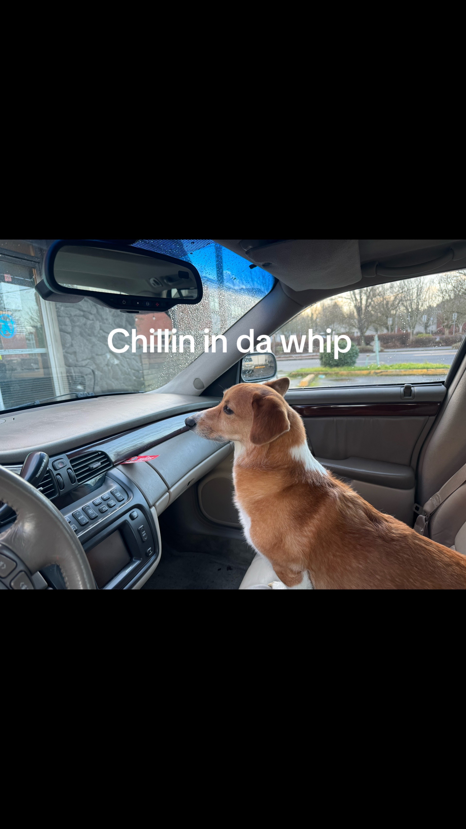 @SidewaysEyeball