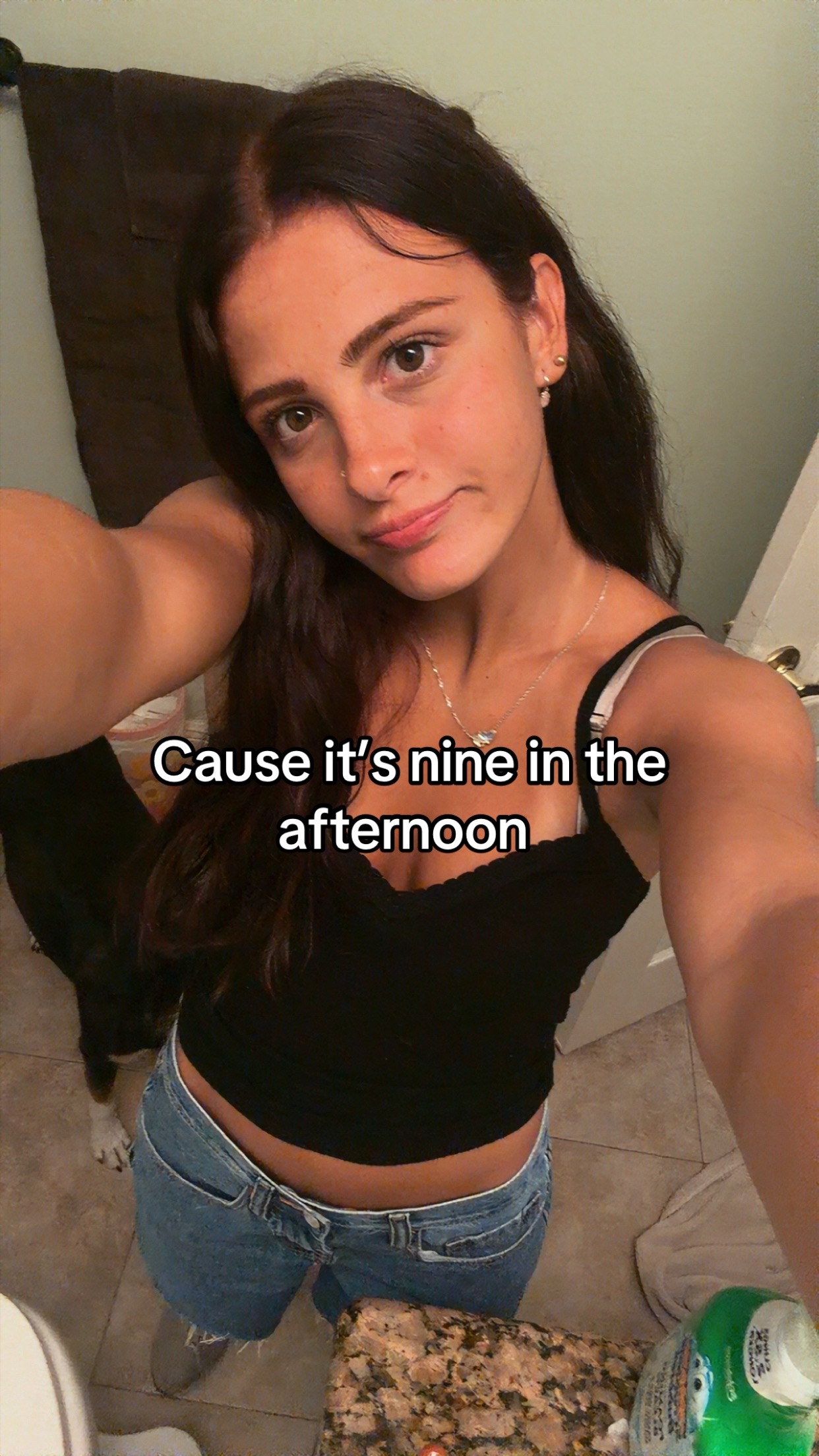 @🇧🇷Meow 🇧🇷
