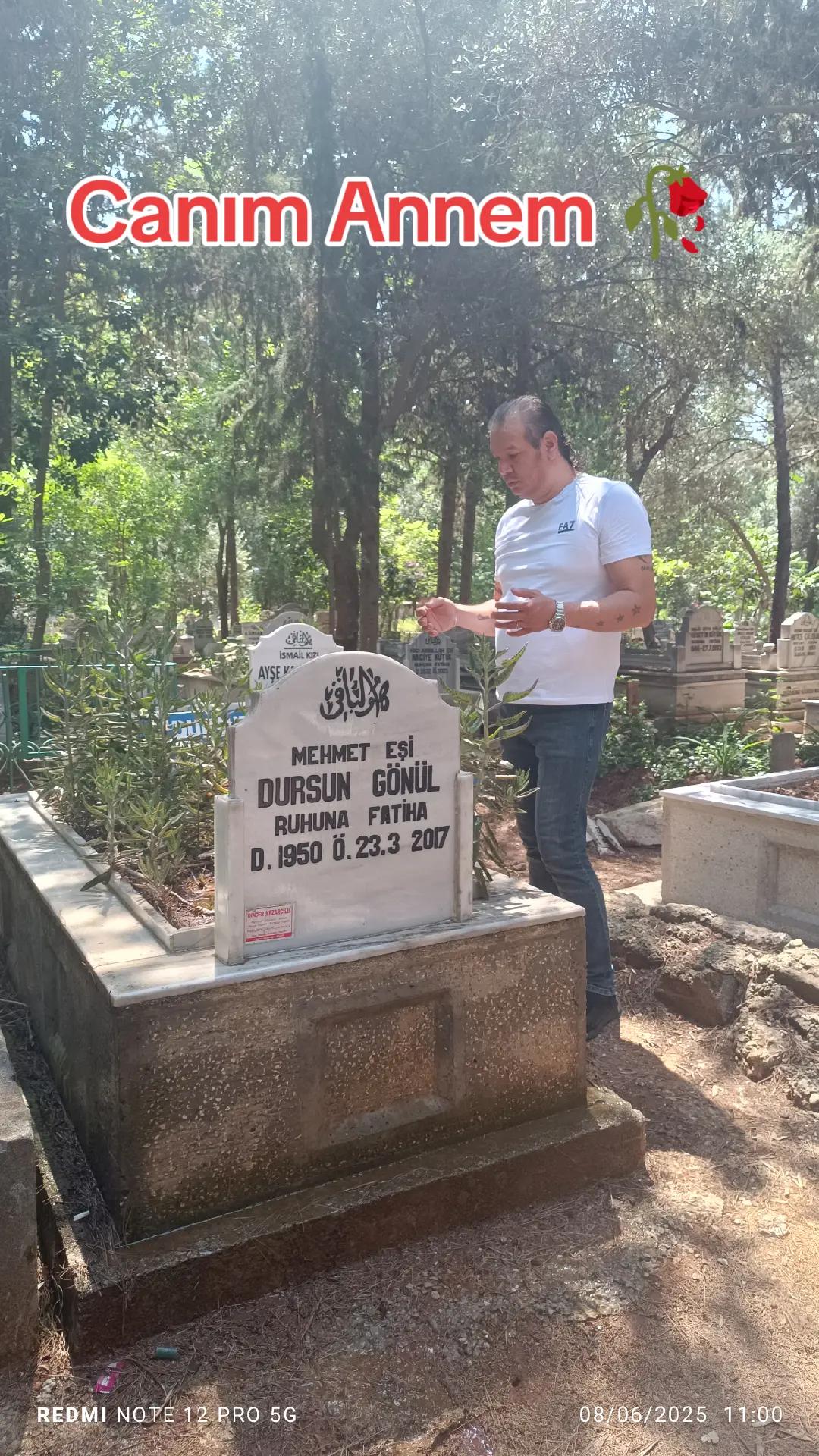 @Mehmet G&ouml;n&uuml;l