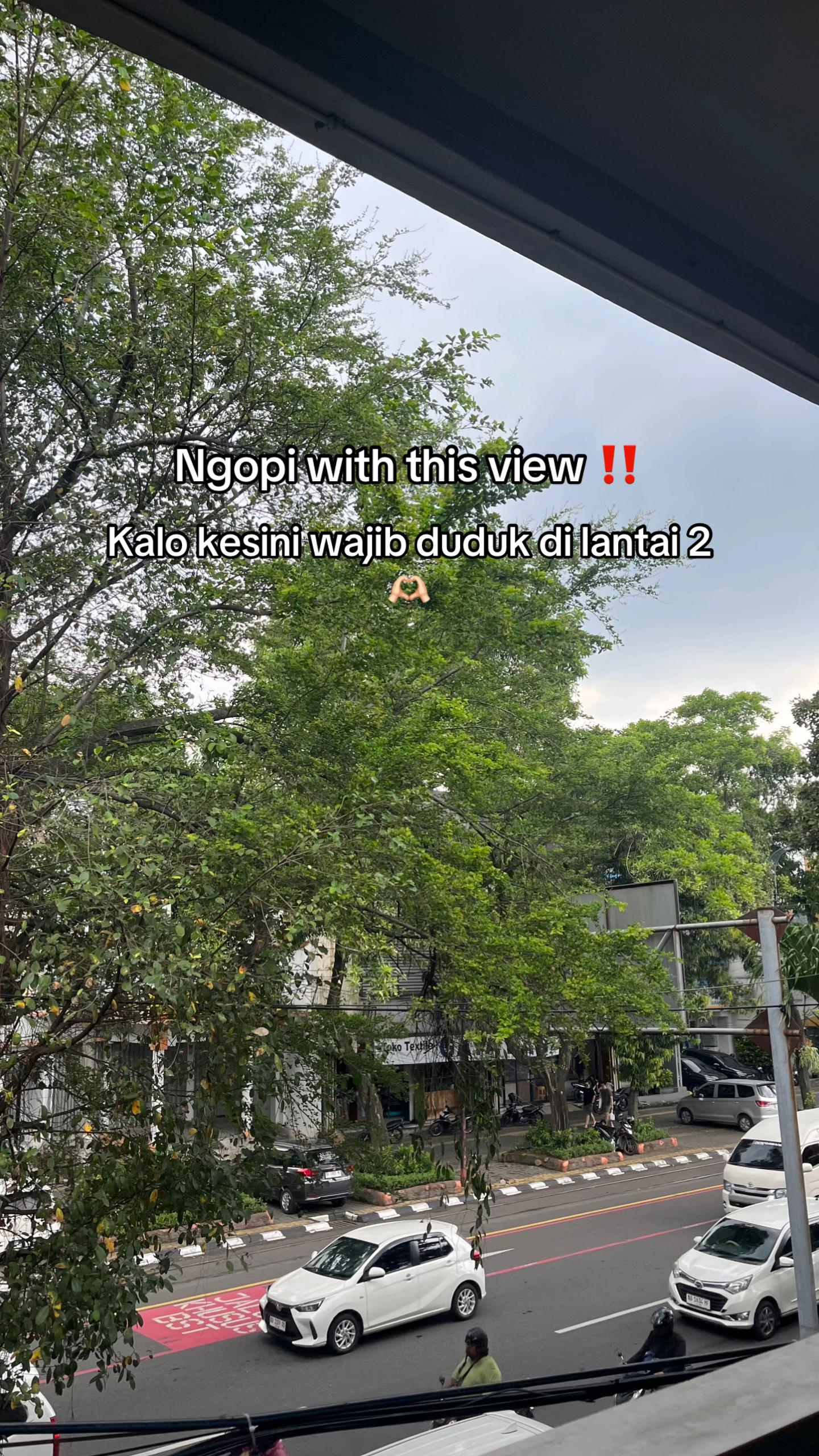@Ay🌱