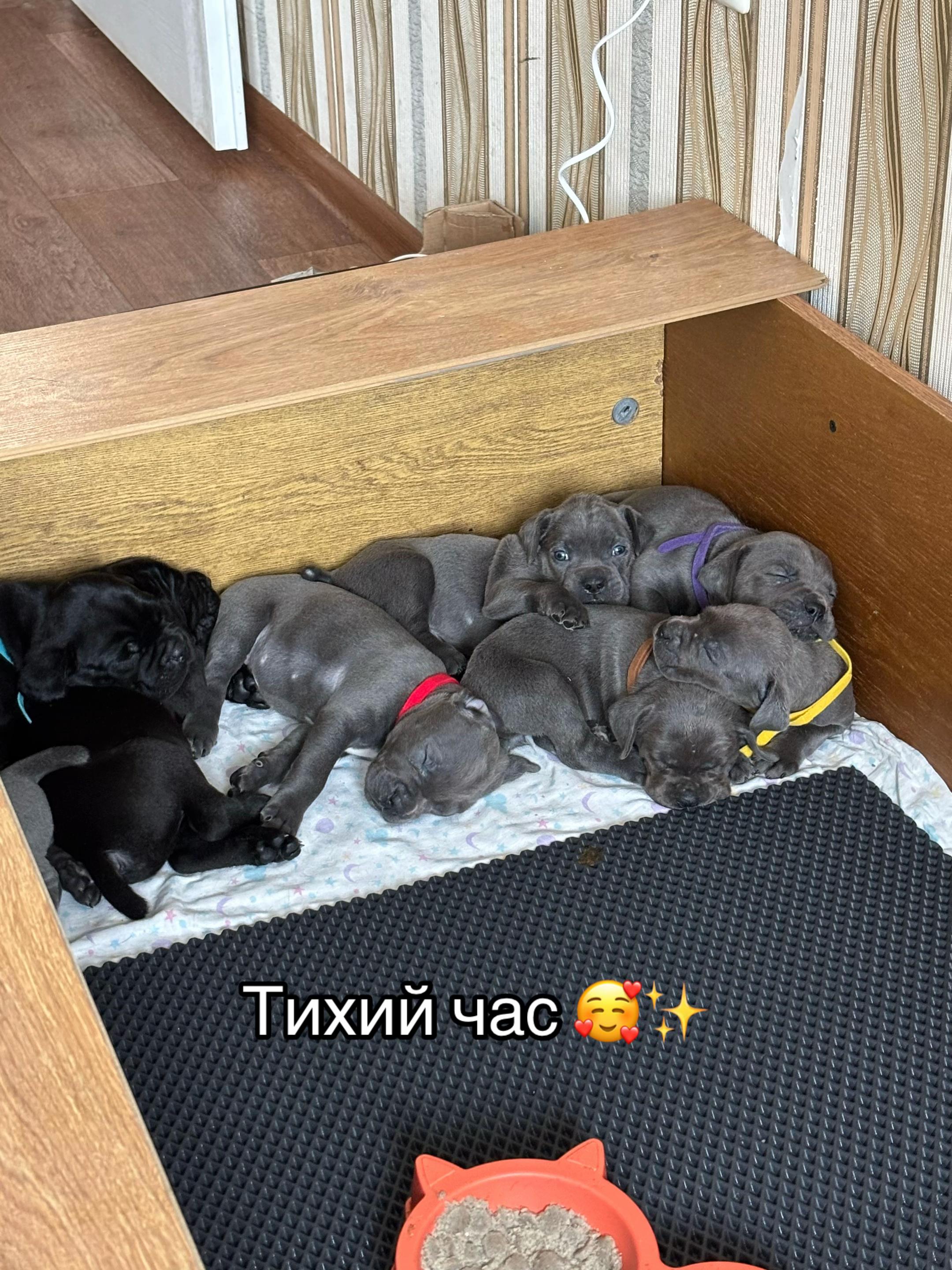 @𝐌𝐀𝐑𝐂𝐈