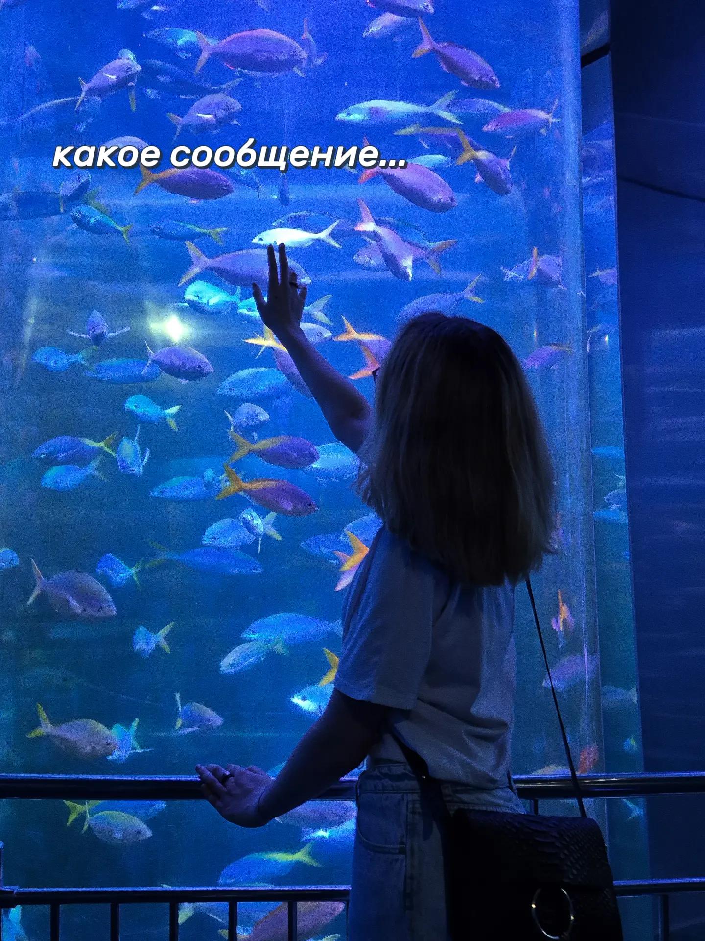 @Таня Klivik
