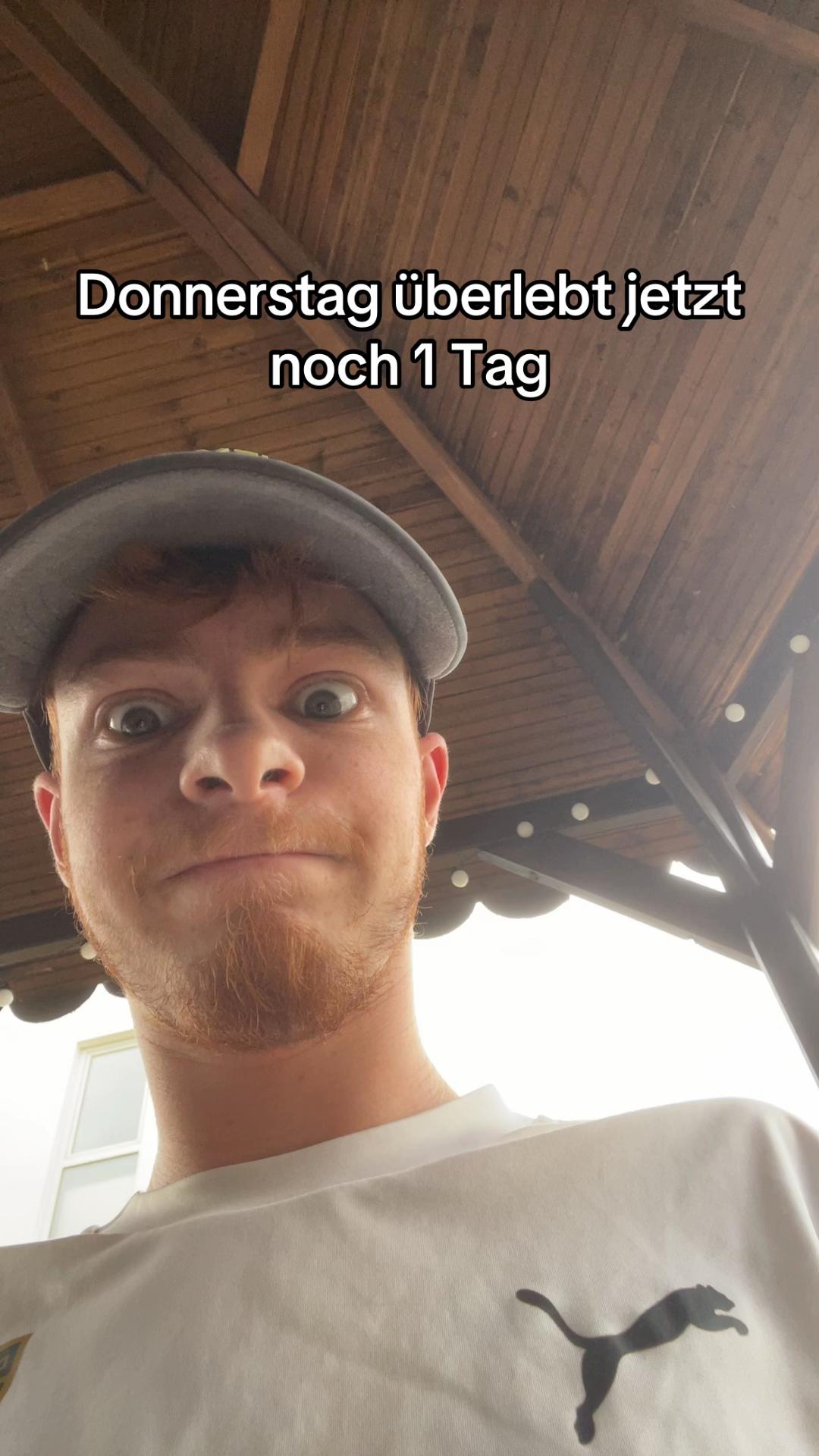 @dimi_Ginger