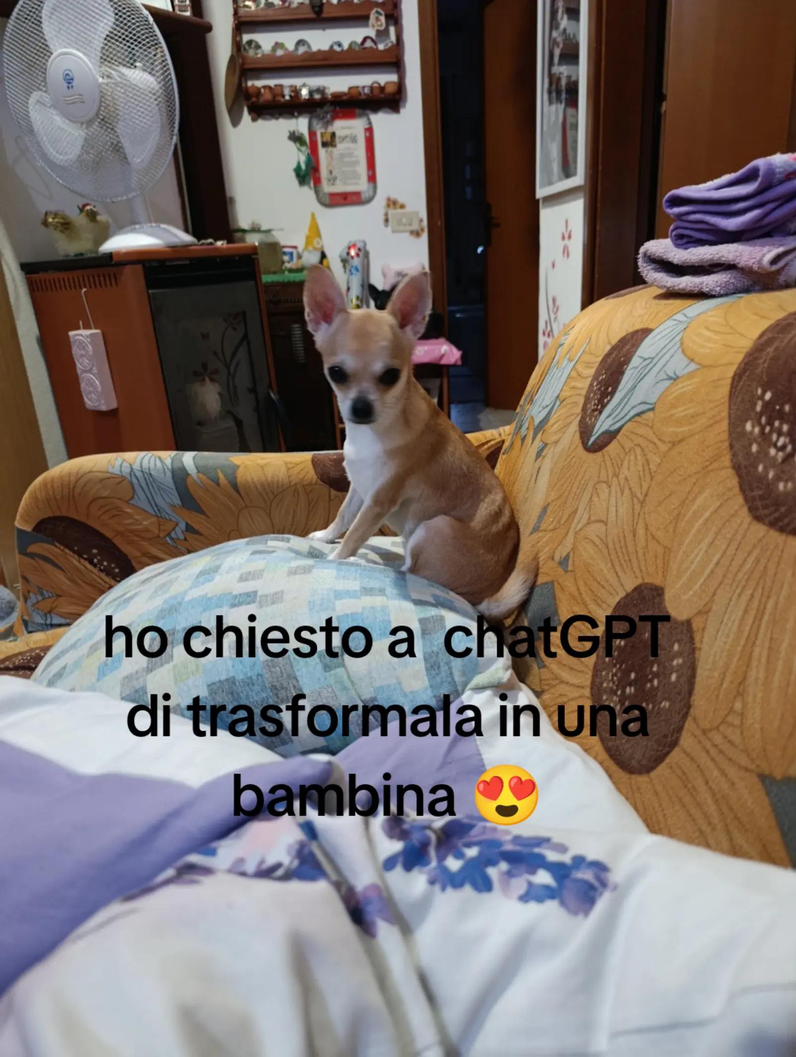 @Ilaria🦩💚🐿️