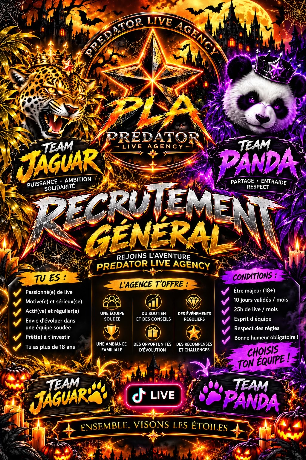 @ali.predatorliveagency