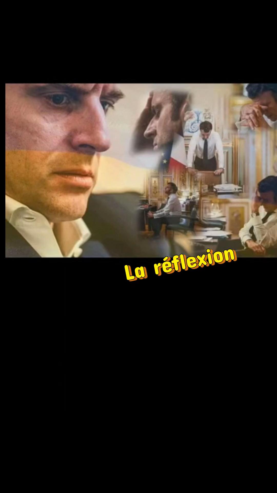 @stephanelevinternational