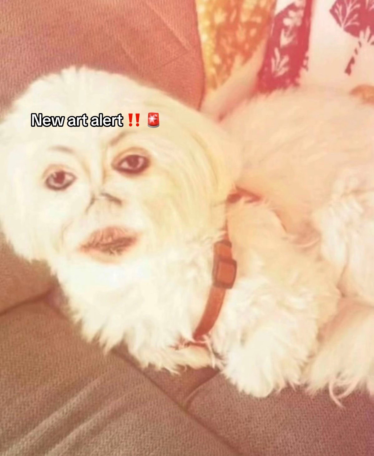 @𓀡S̶t̶a̶z̶♐︎