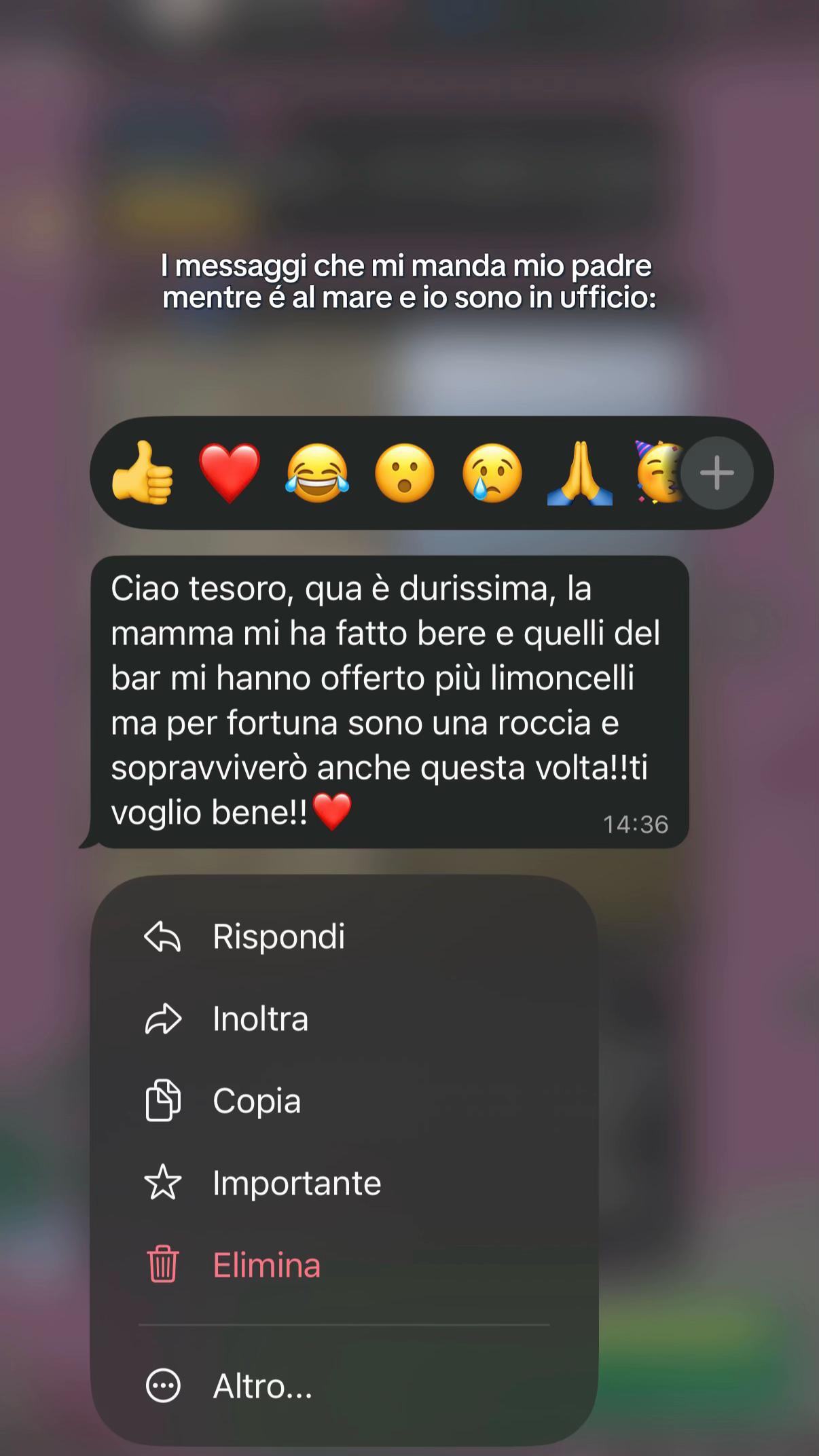 @deboramerighi