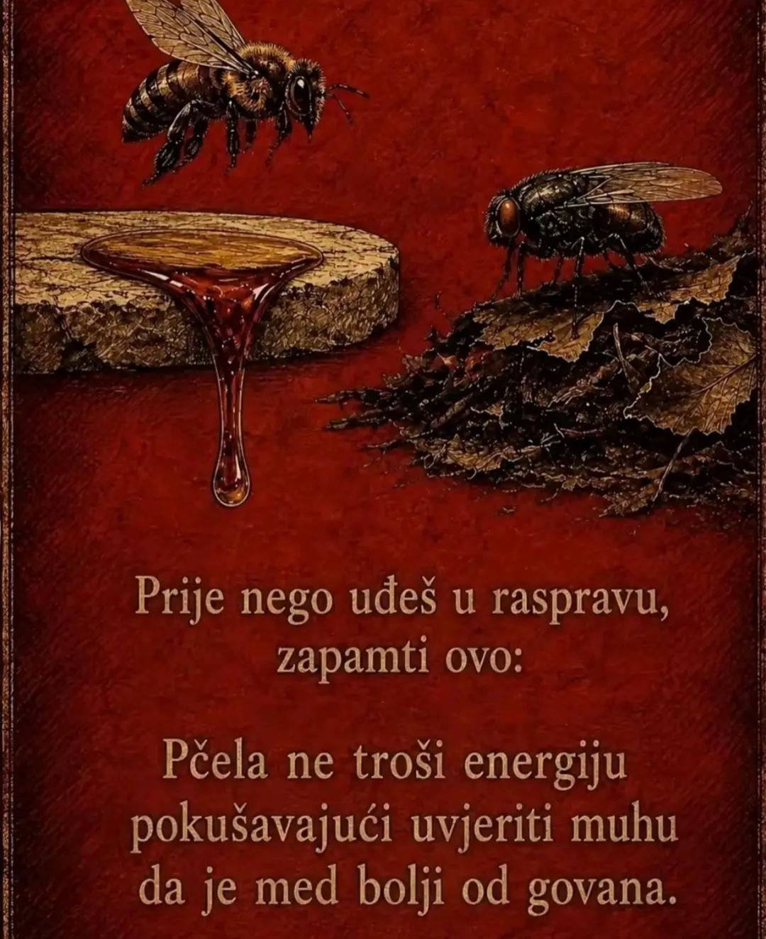 @Katarina Blazevic