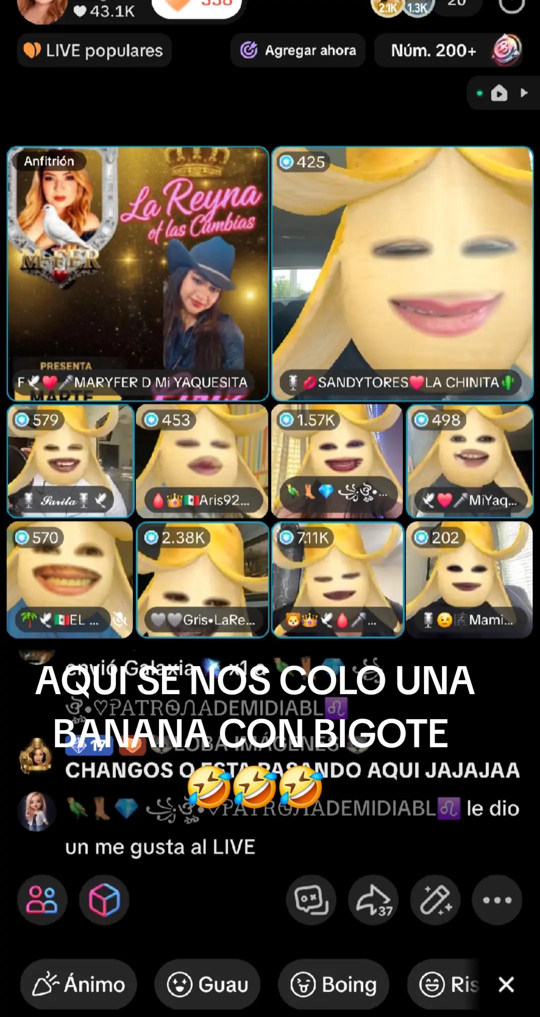 @F🕊♥️🎤MARYFER D🌴EL COCHO🕊