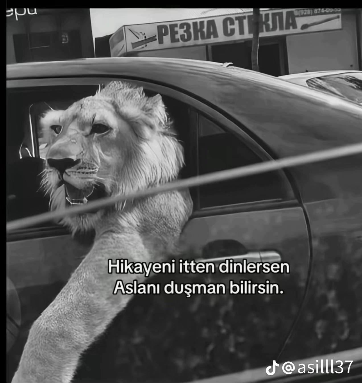 @Can Polat