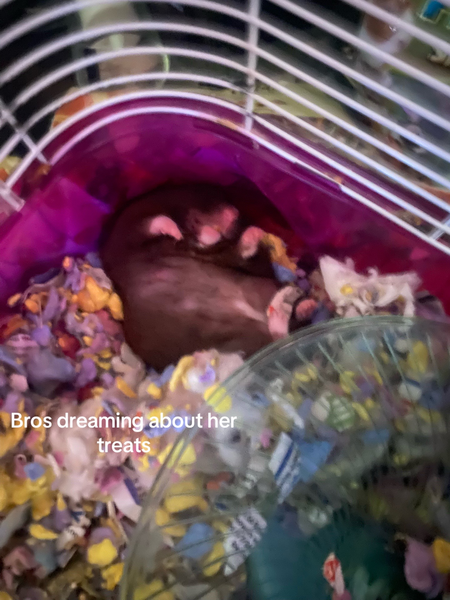 @Hiro