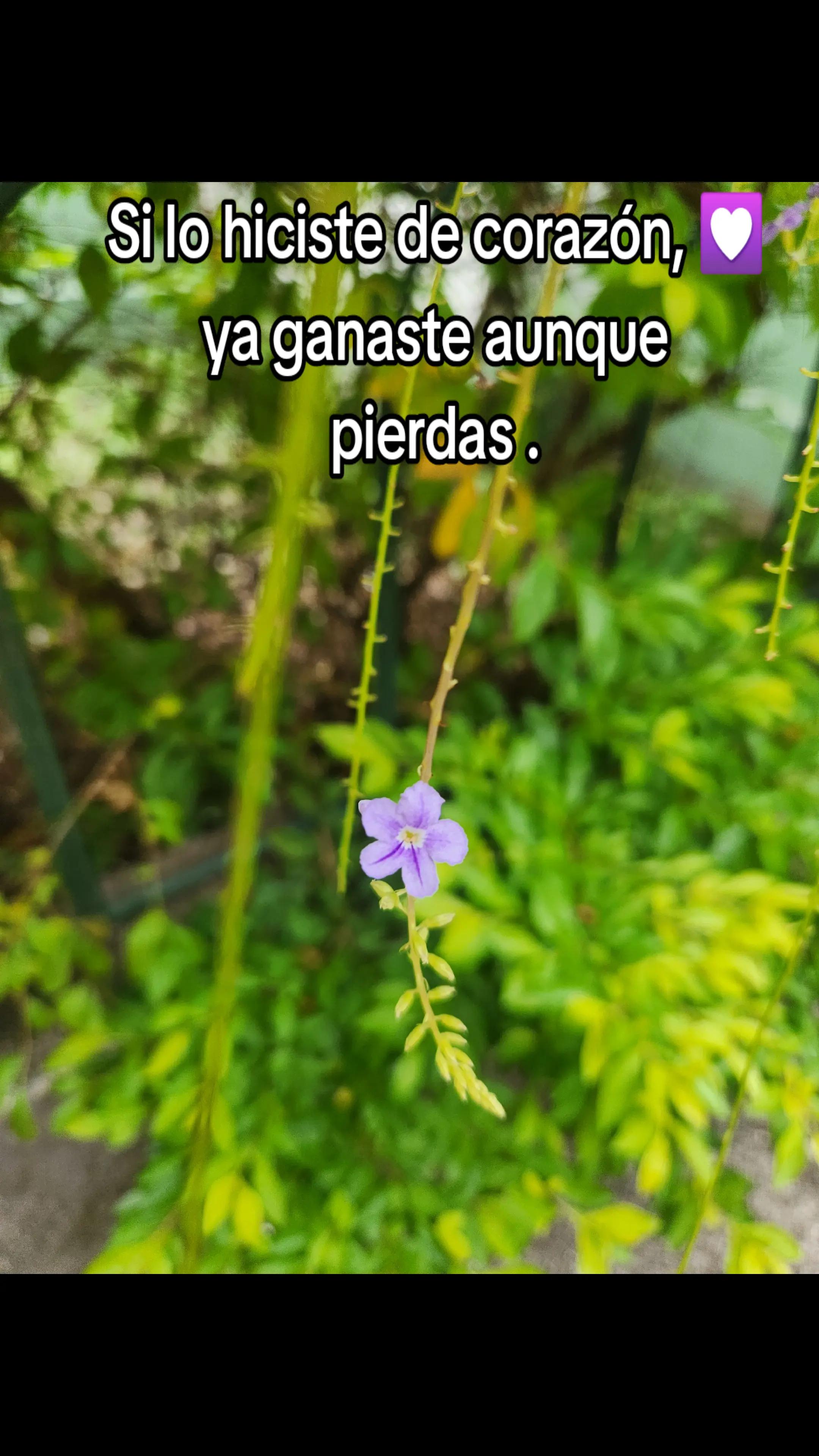 @Nelly🍃