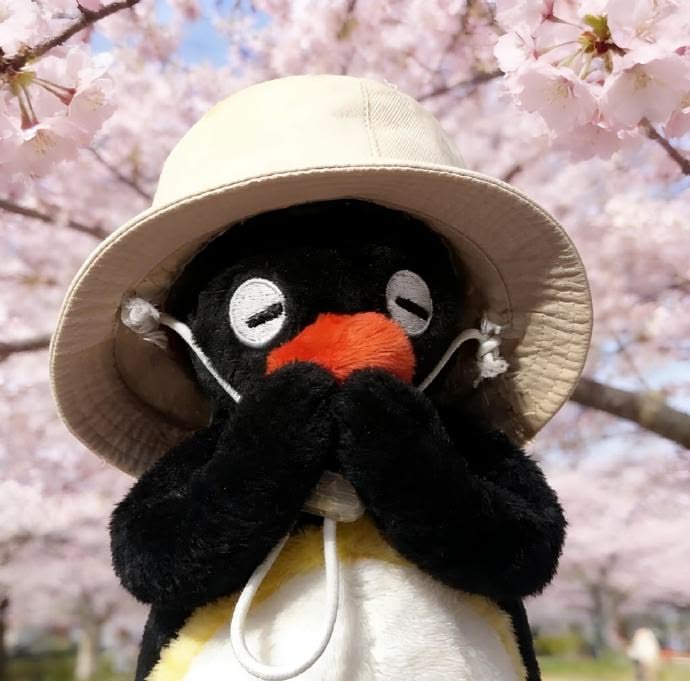 @𝗡 eo