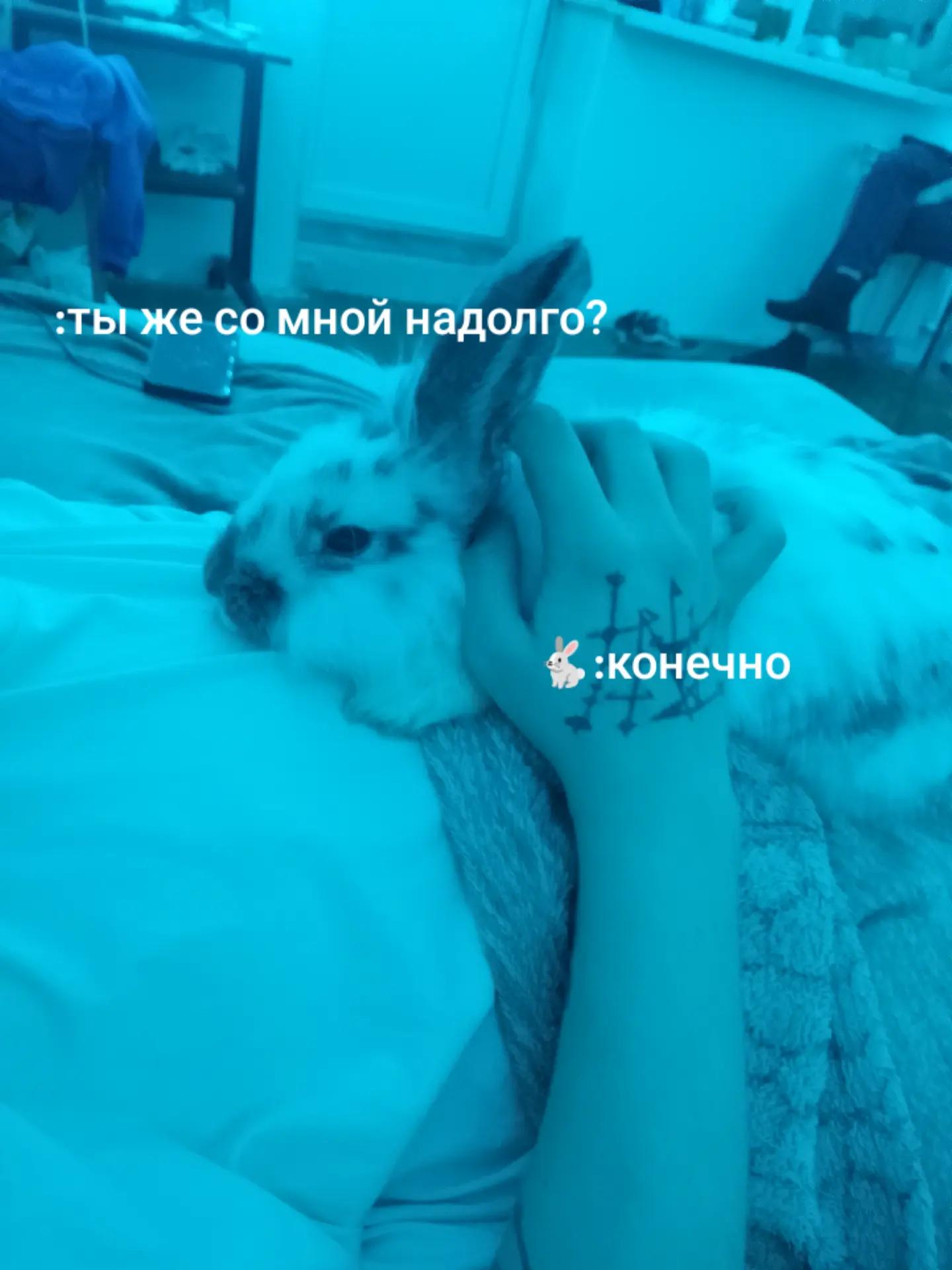 @тгк: темная кровь