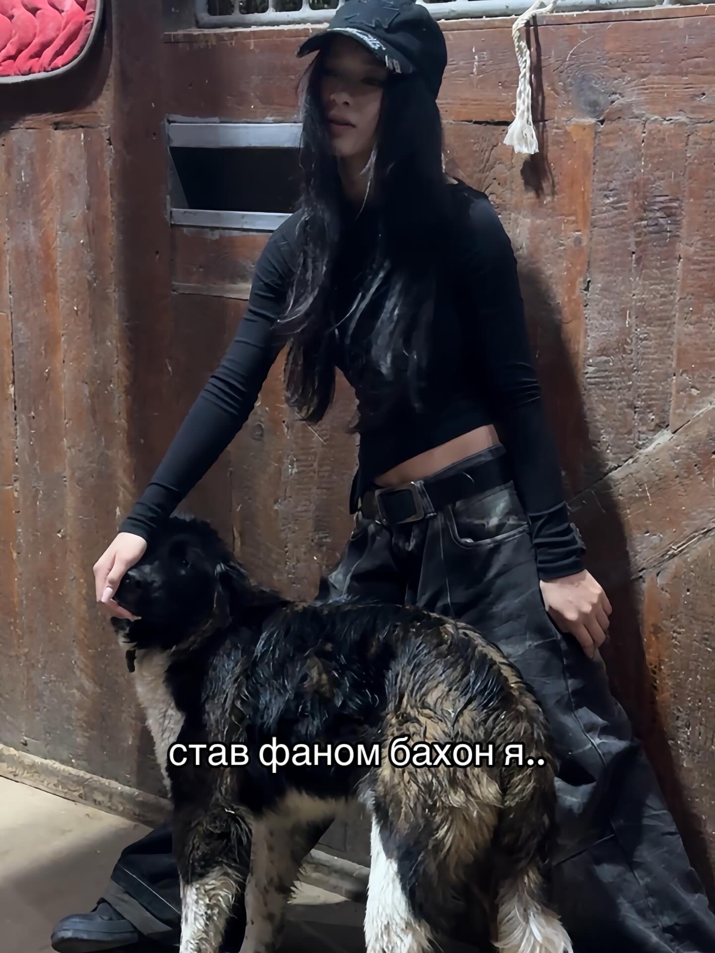 @ཐི 𝙗𝙖𝙝𝙤𝙣𝙞𝙣𝙖 ཋྀ