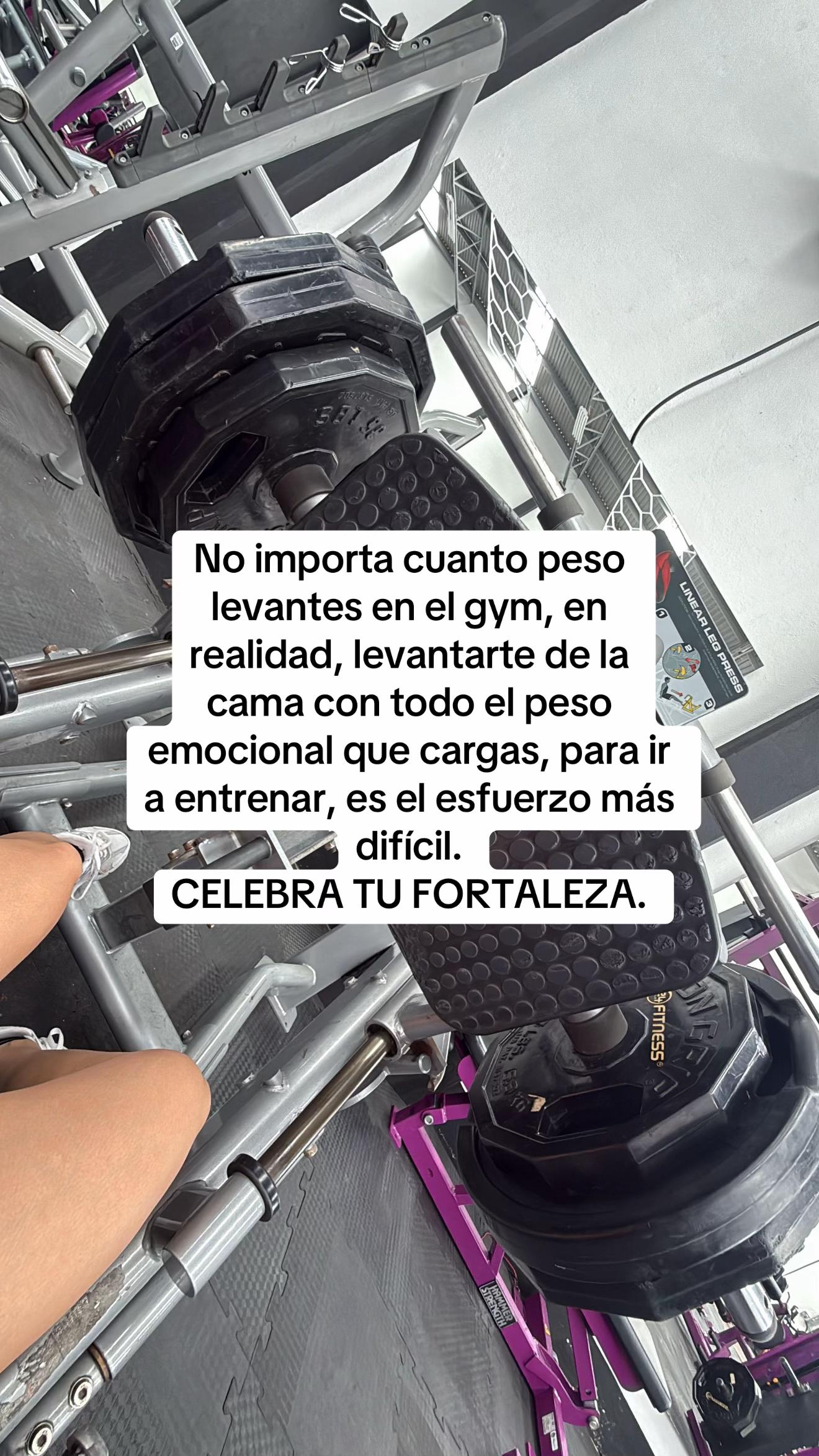 @Pamela Palafox
