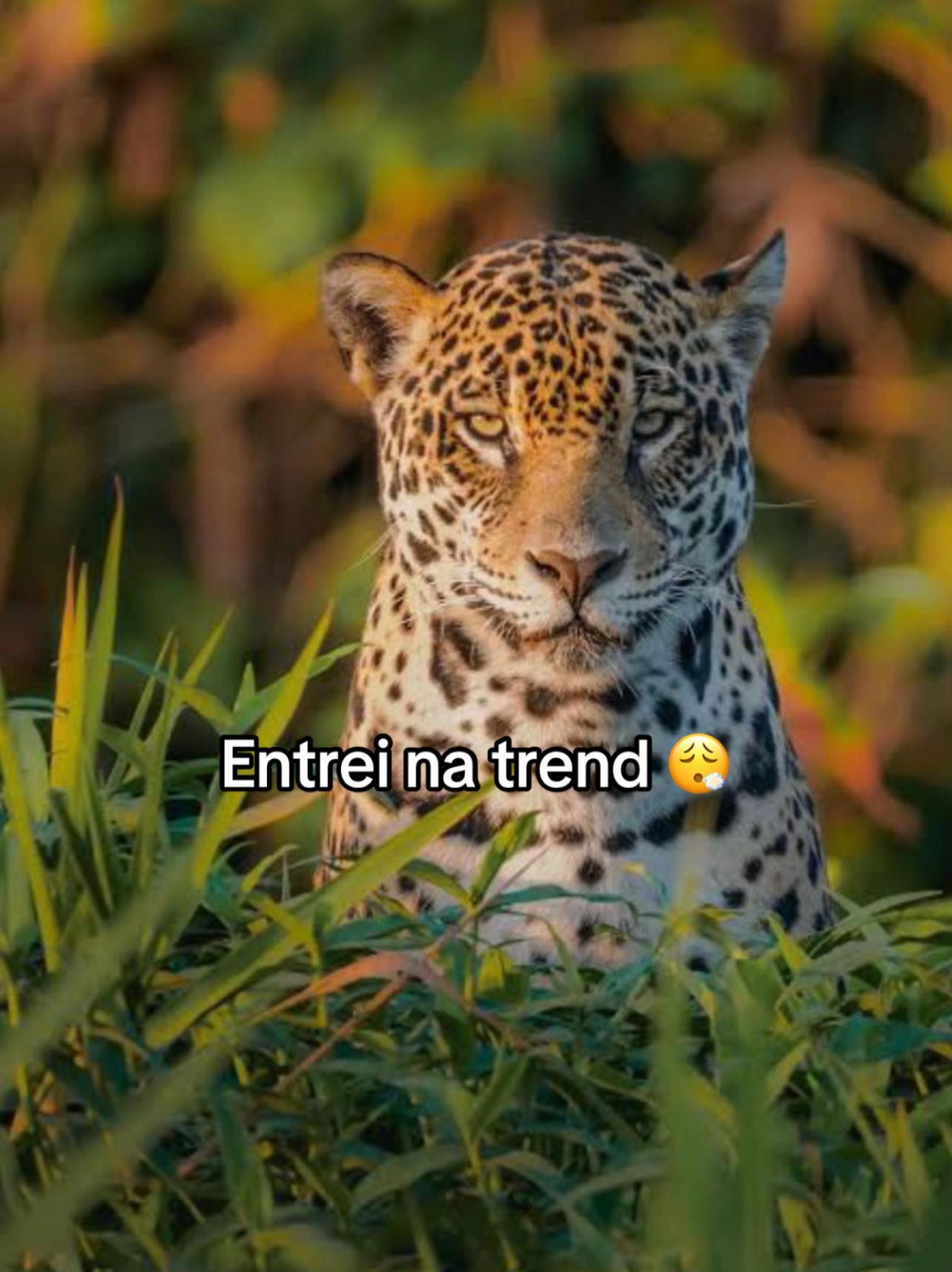 @Ana Maia