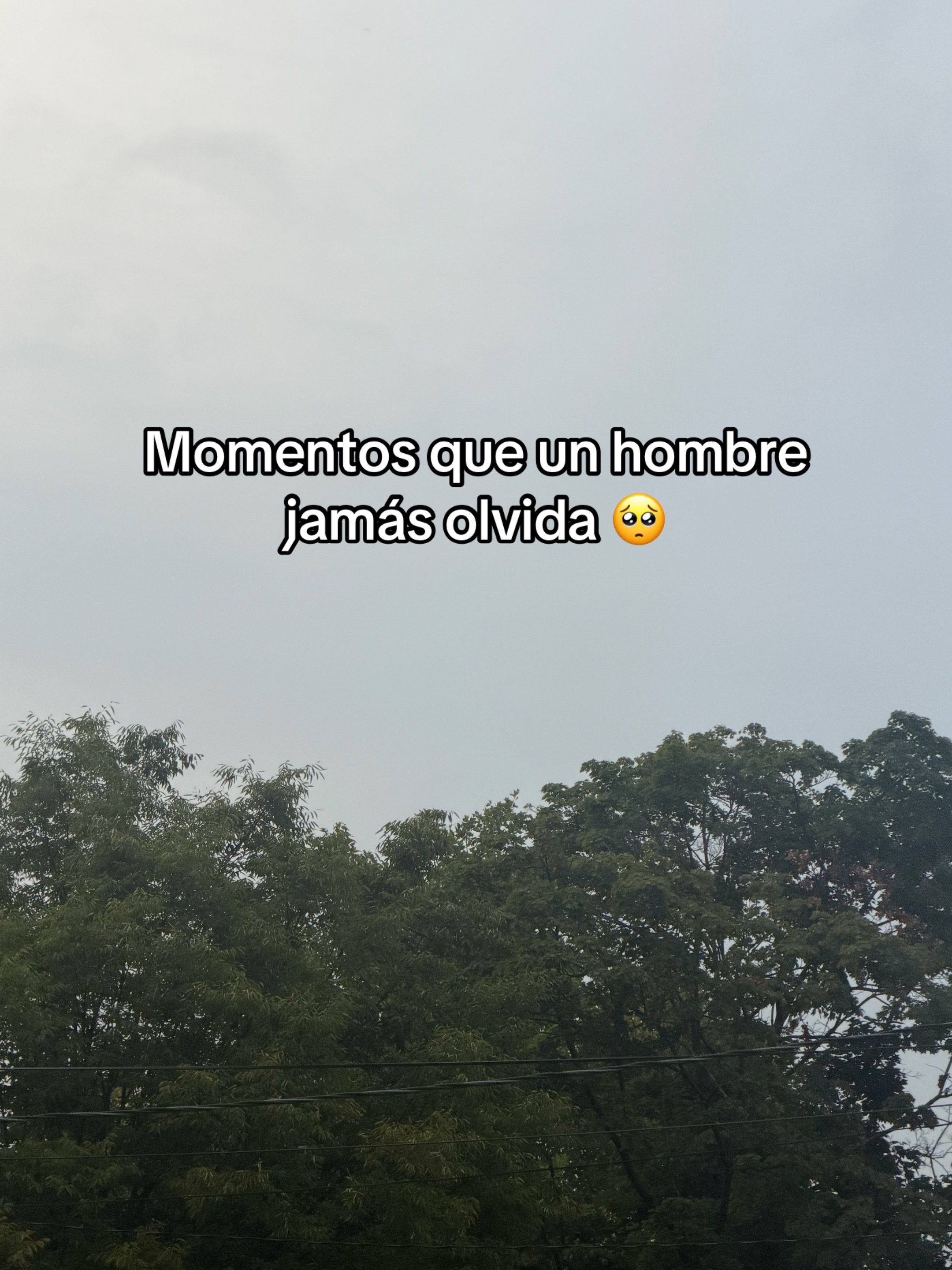 @Srj,Richar👽