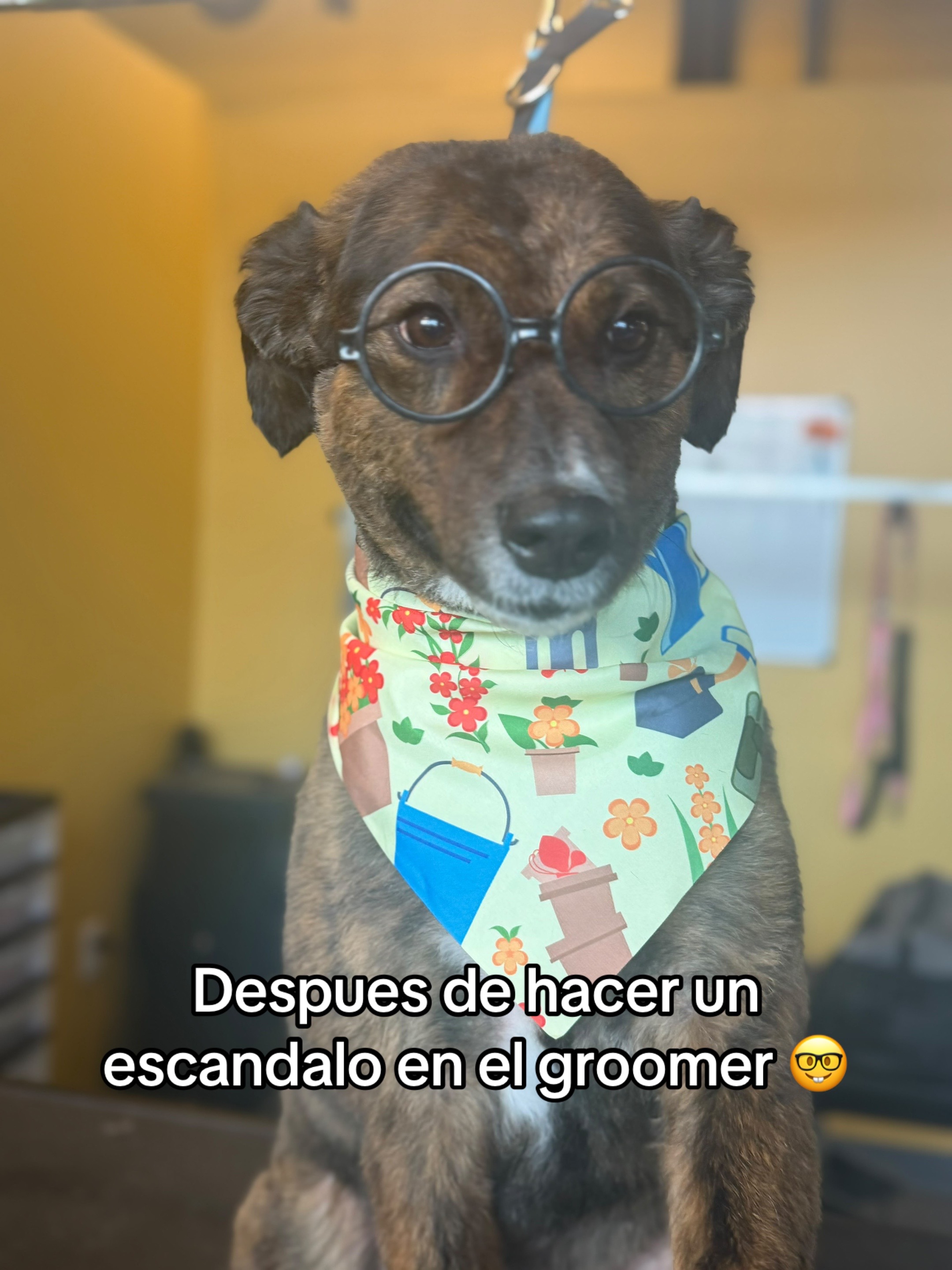 @mariia