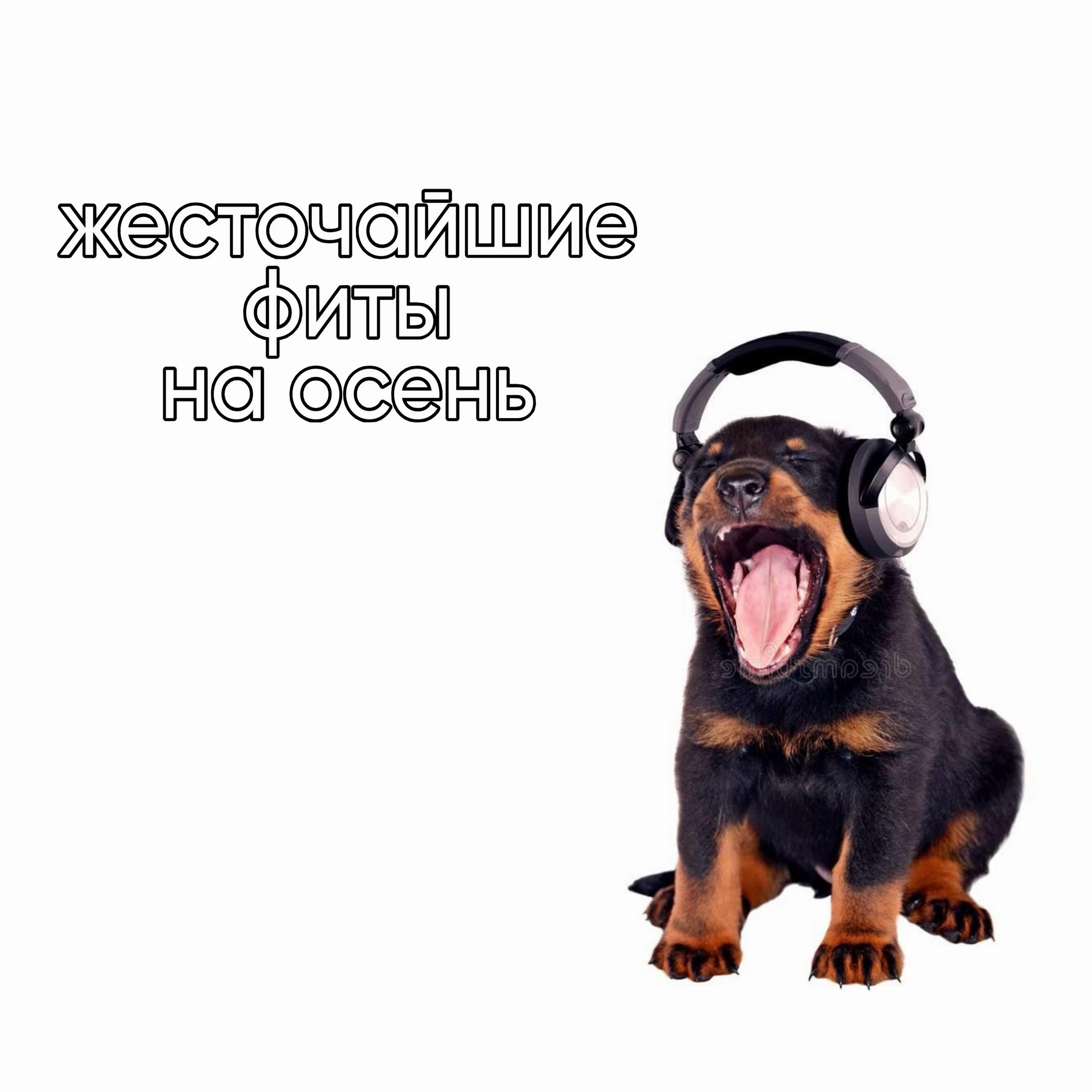 @gunin