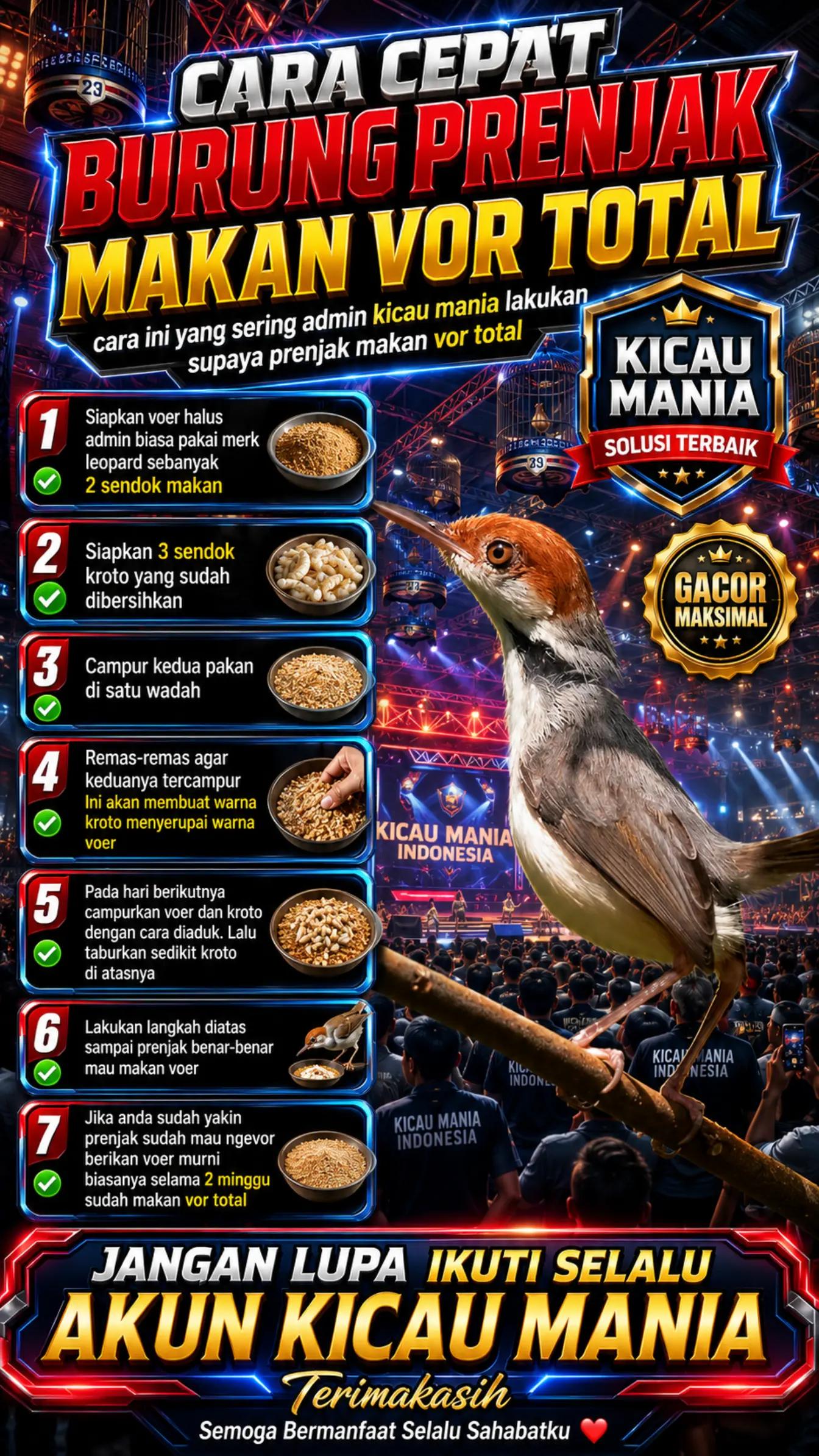 @fbkicaumania