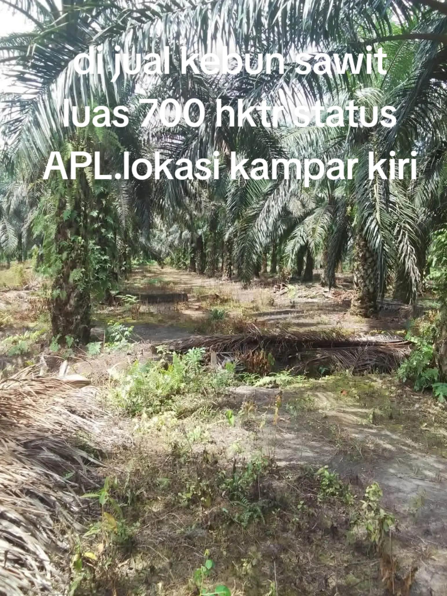 @duo property pku