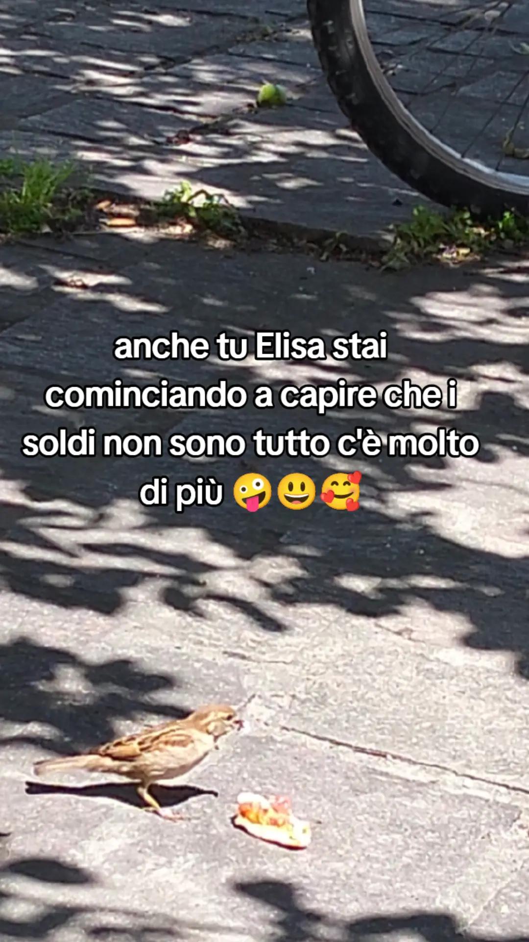 @Elisa Esposito