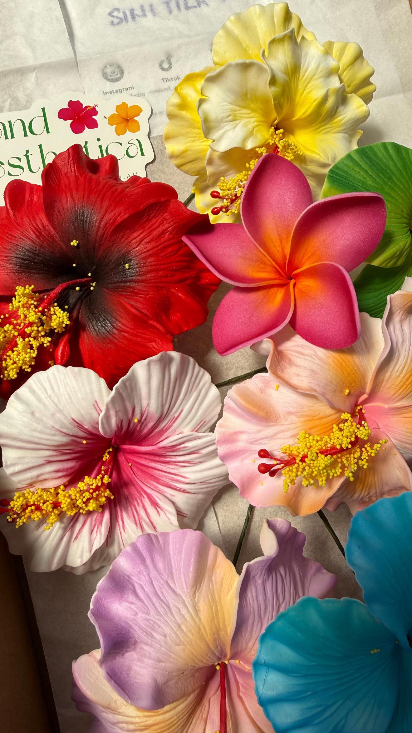 @Island Aesthetica 🌺