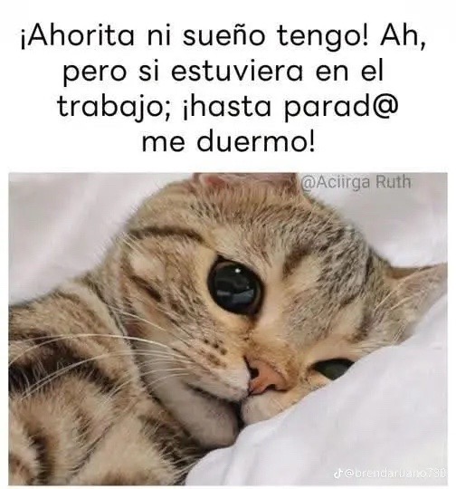 @Alicia vilches ,P