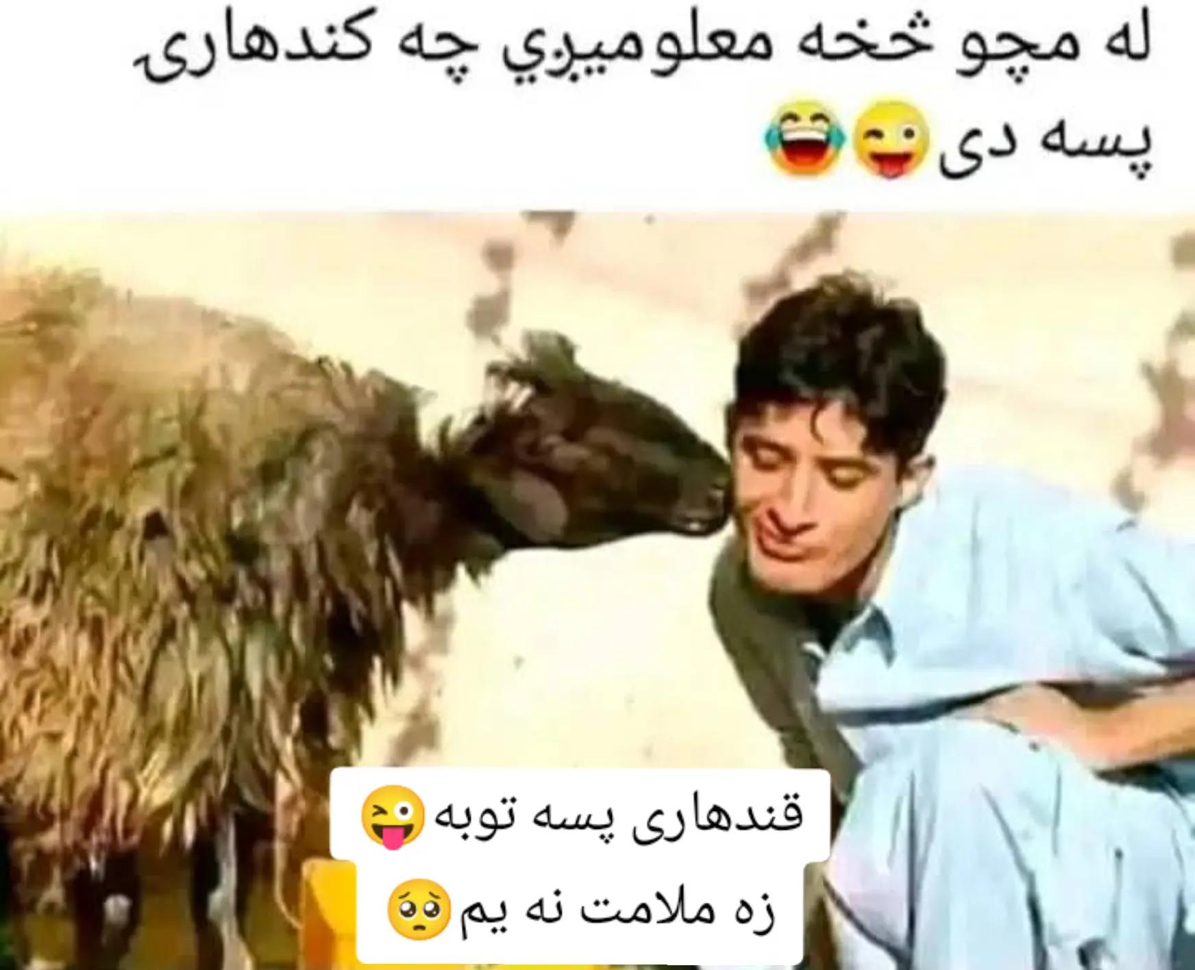 @😉_👻_حاجي_زوي_👻_😉