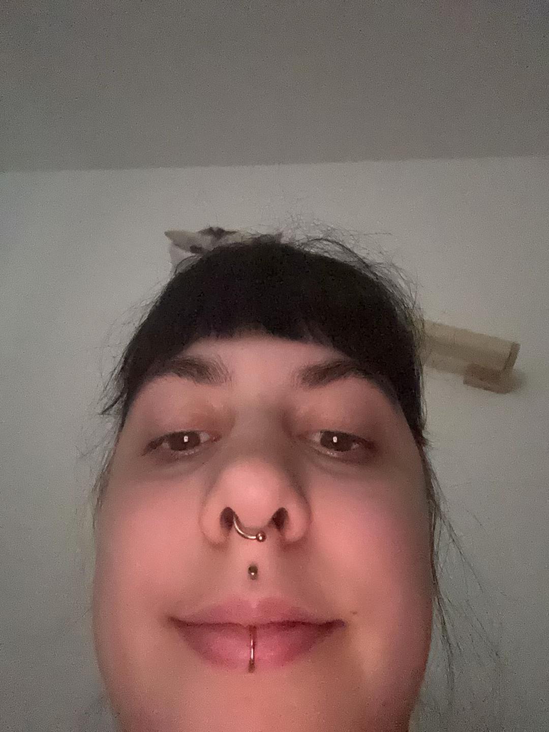 @vanessa.rhdt