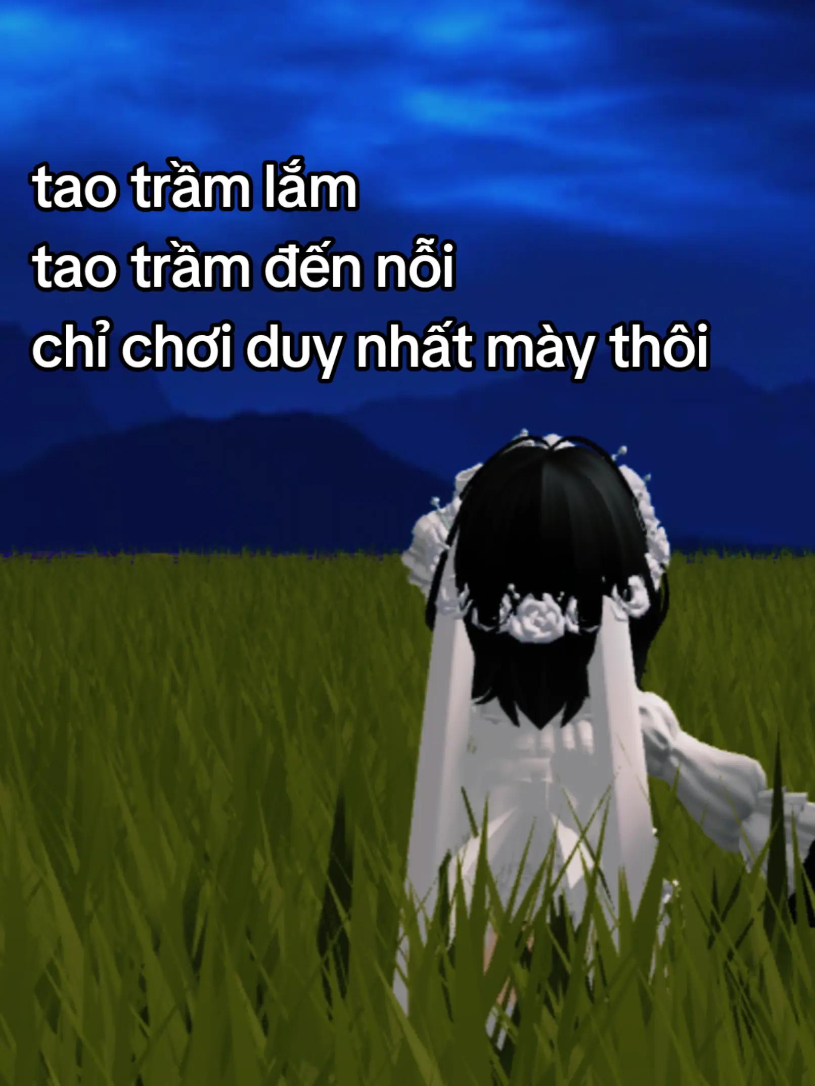 @« ✦ 𝒜𝓋𝒶 ✦ »