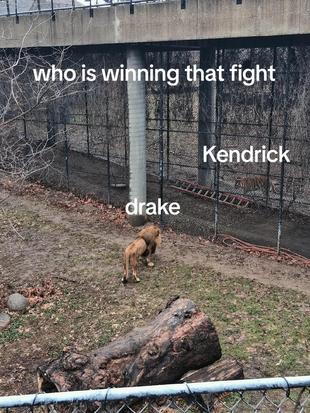 @Camron Adams