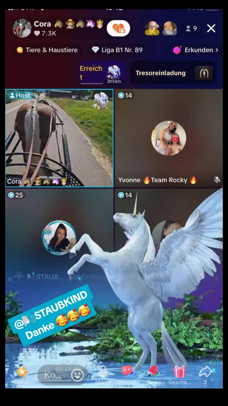 @Cora 🐴 👩🏼&zwj;🌾🐴🦄🤴🏻